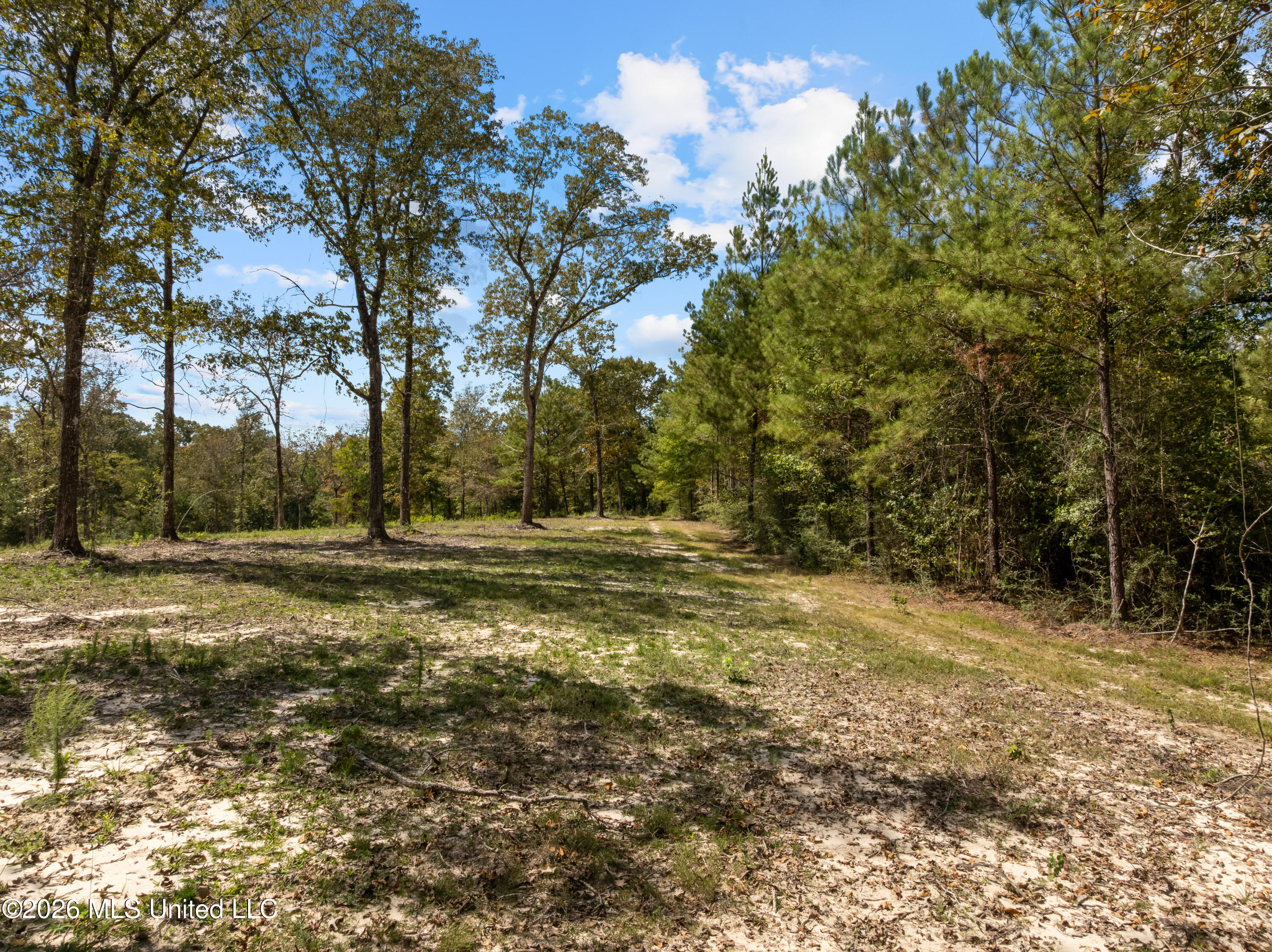 Bonhomie Road Property Photo 12