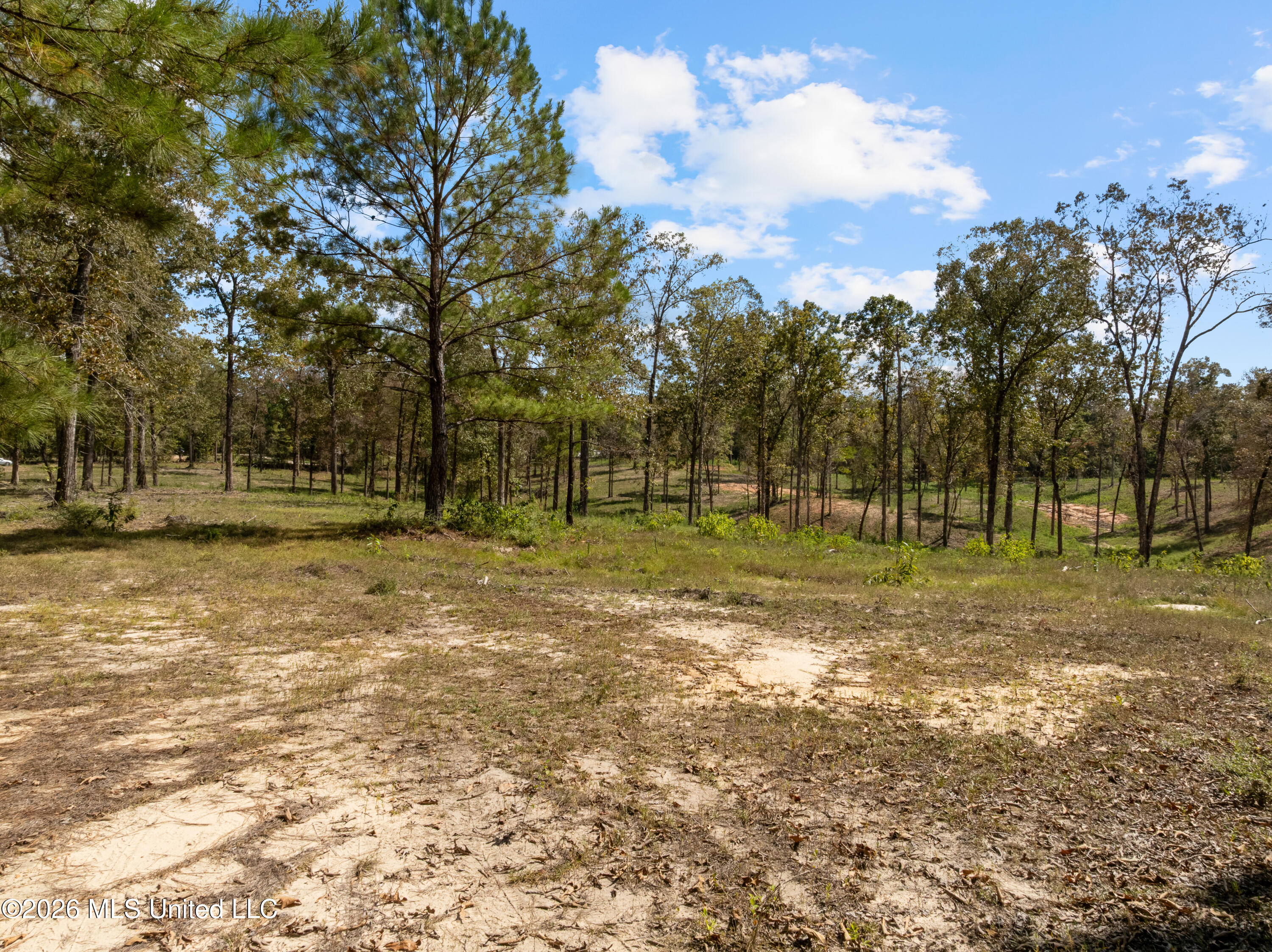 Bonhomie Road Property Photo 13