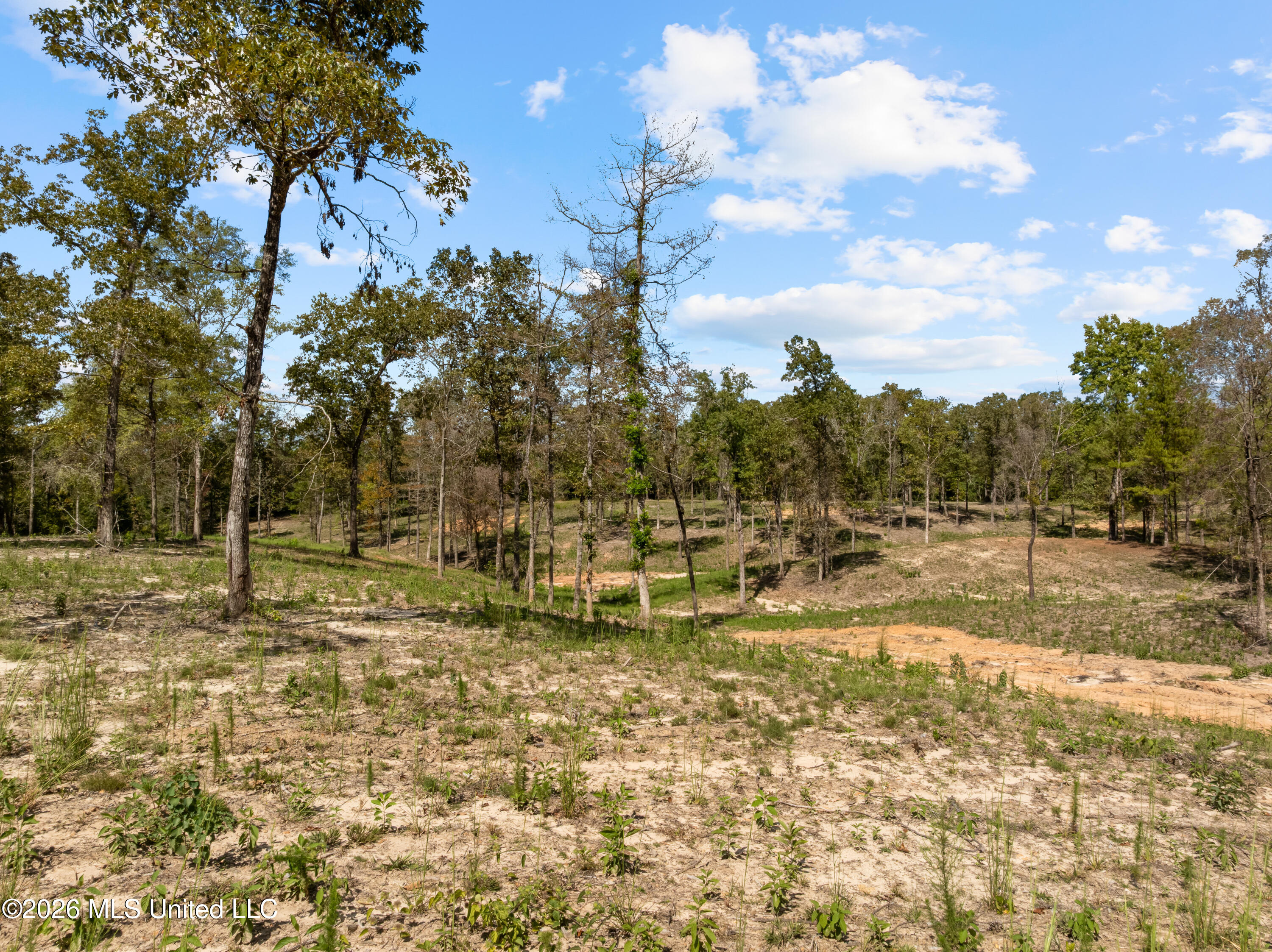 Bonhomie Road Property Photo 15