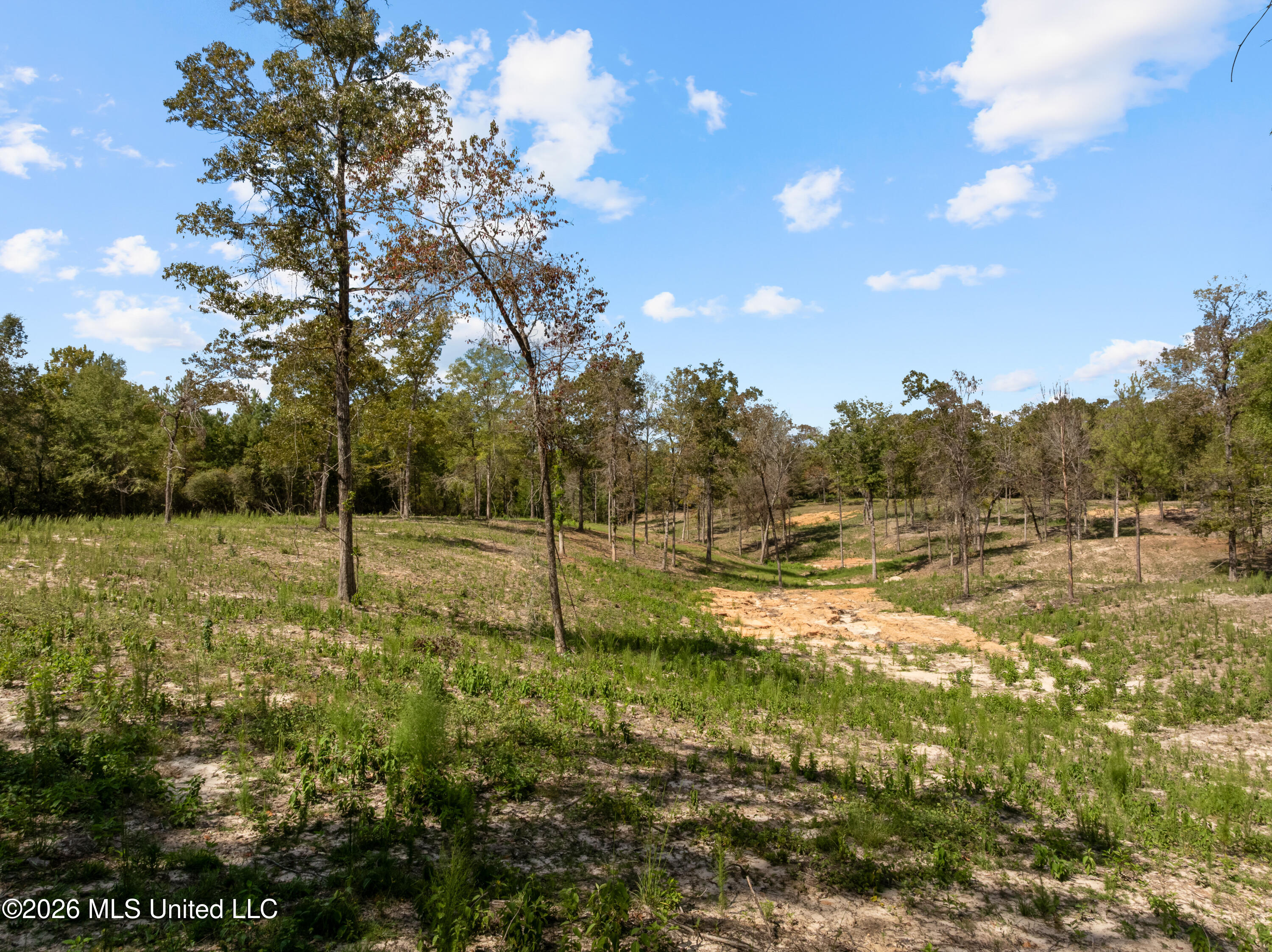 Bonhomie Road Property Photo 16