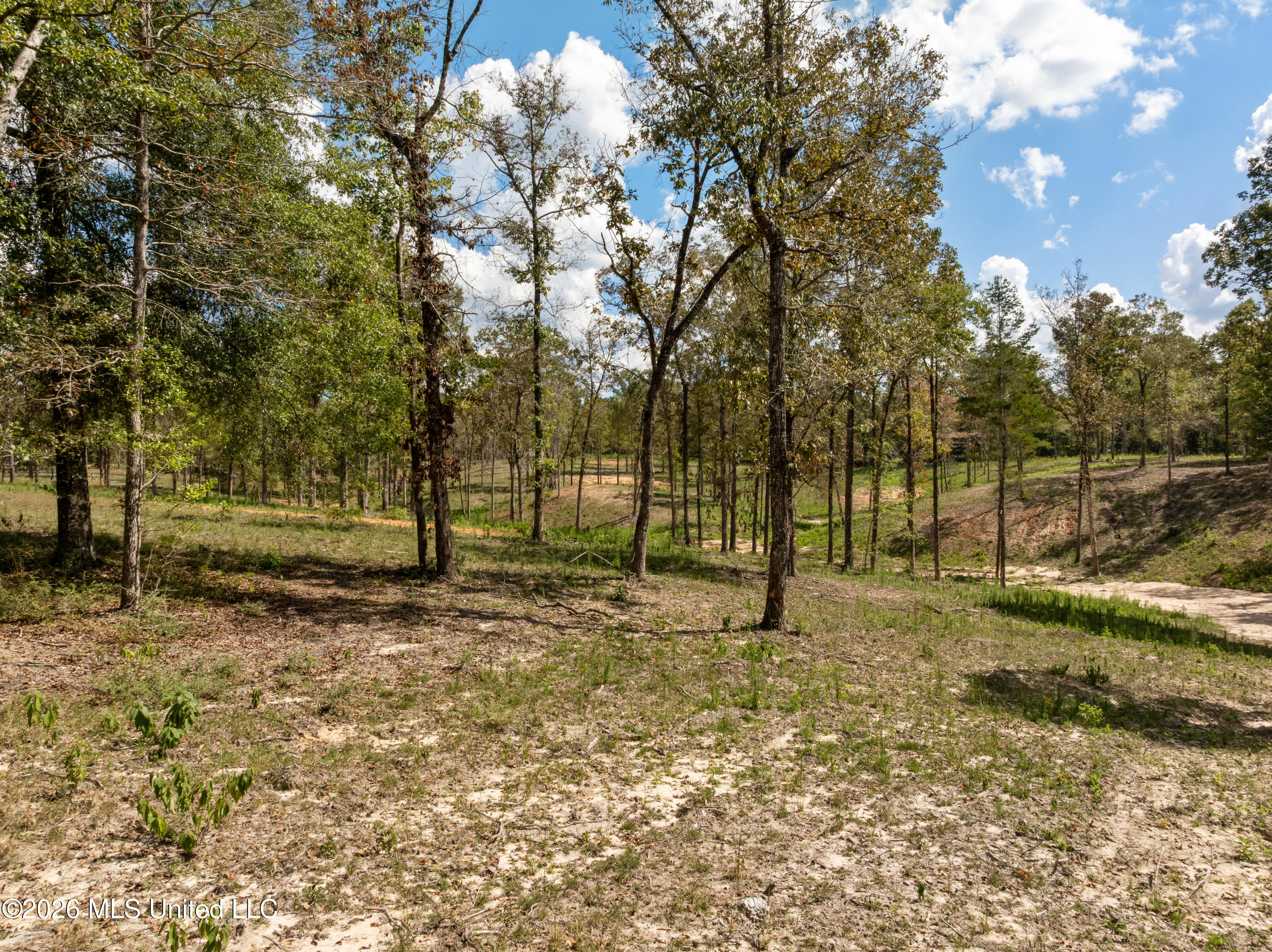 Bonhomie Road Property Photo 19