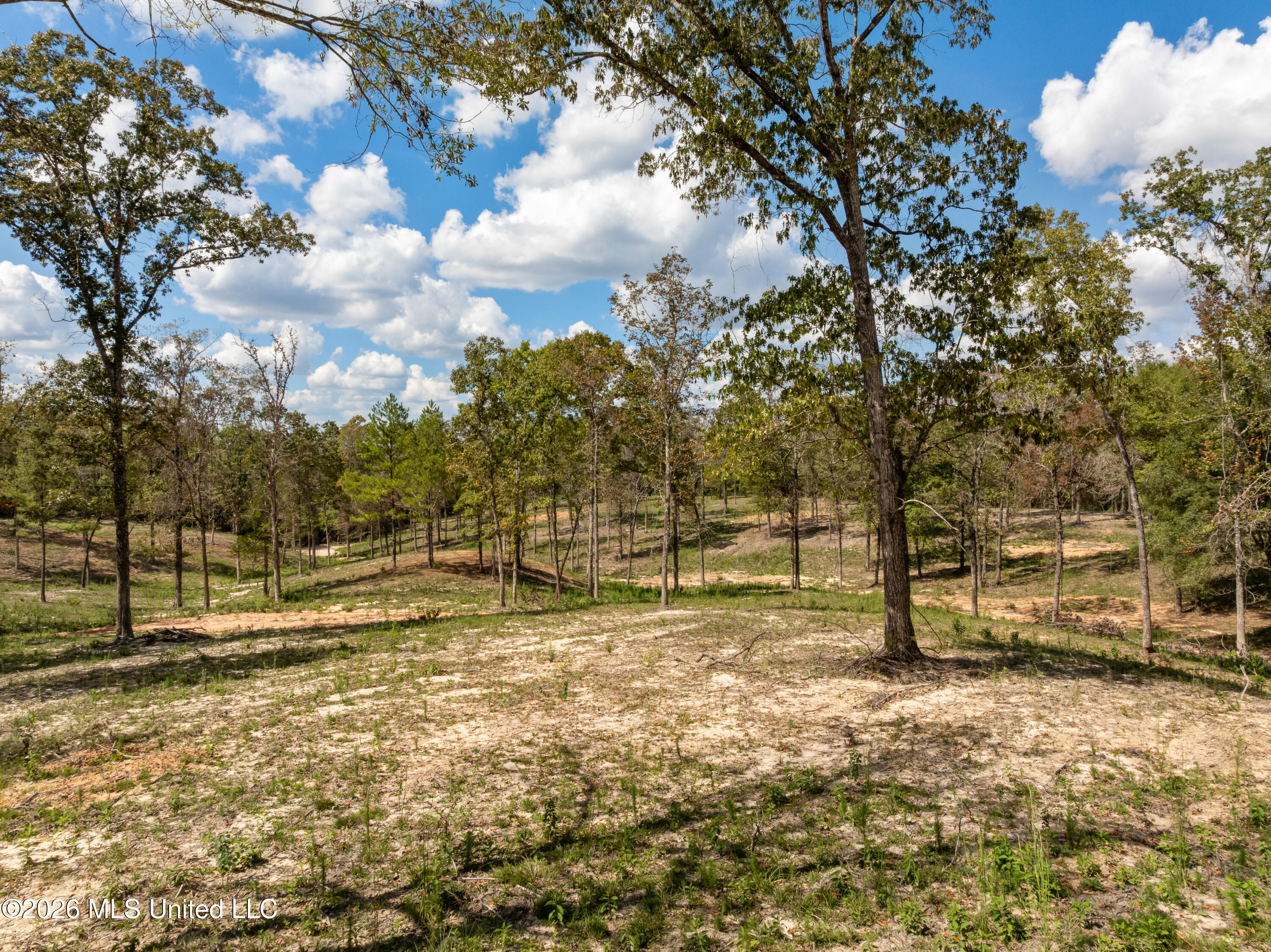 Bonhomie Road Property Photo 20