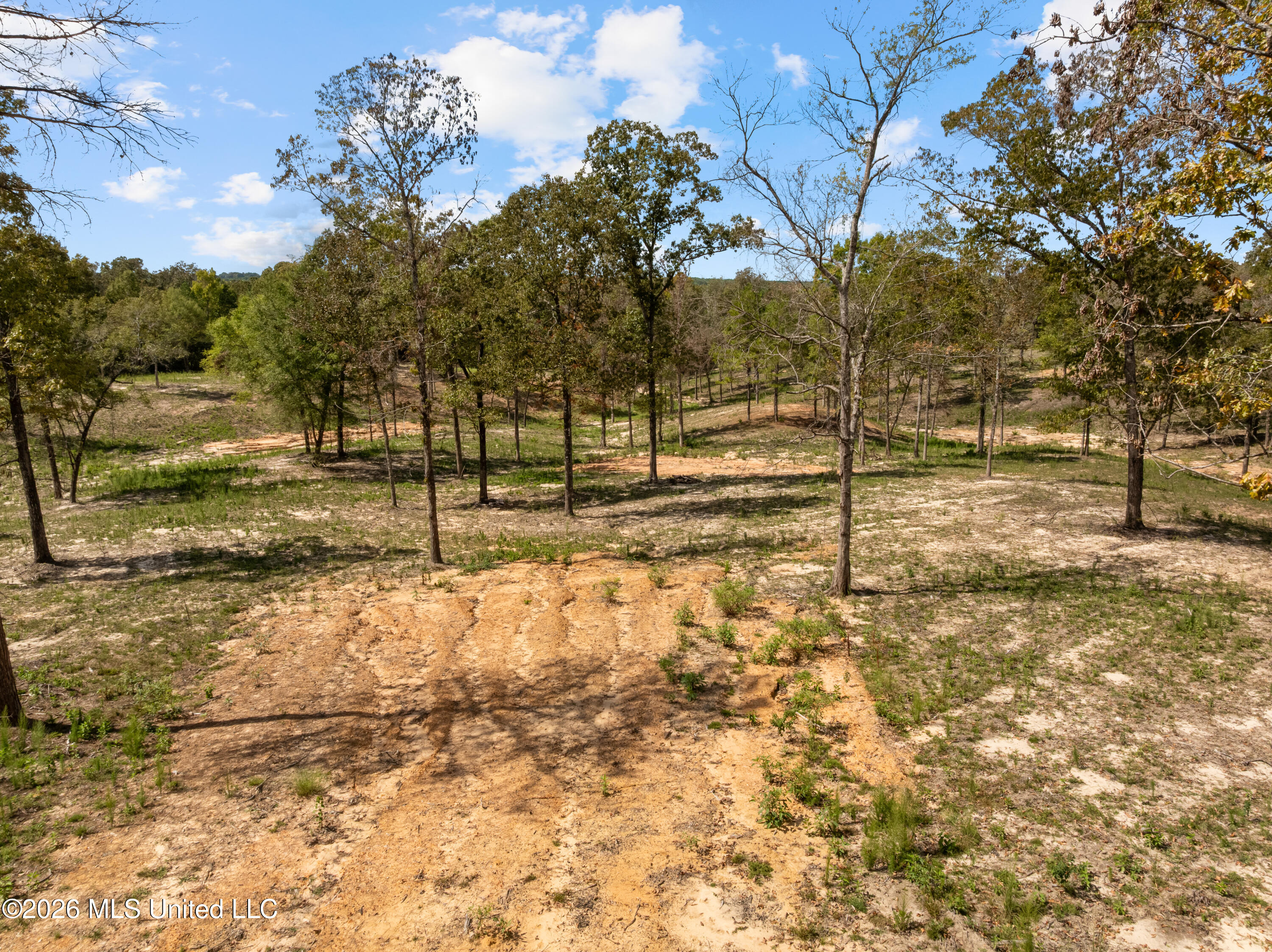 Bonhomie Road Property Photo 21