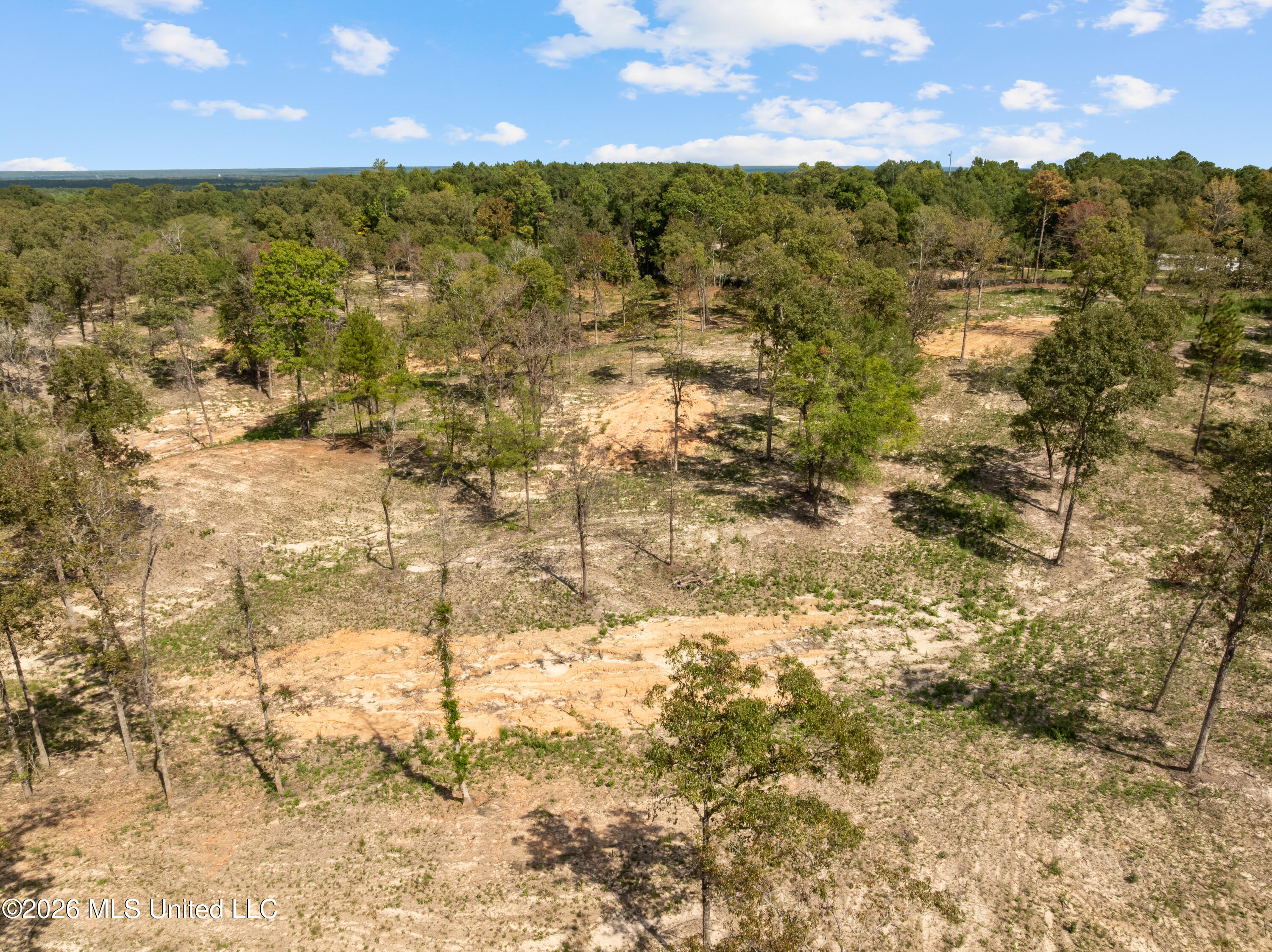 Bonhomie Road Property Photo 22