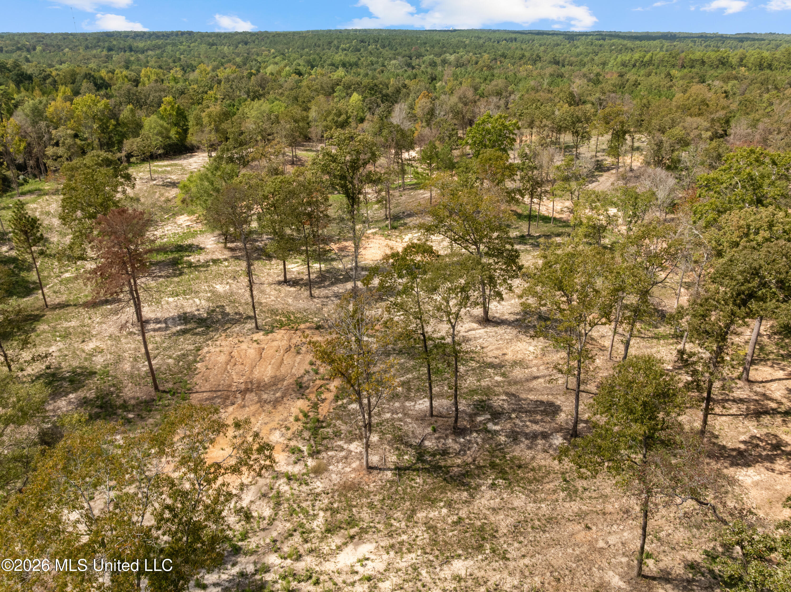 Bonhomie Road Property Photo 24