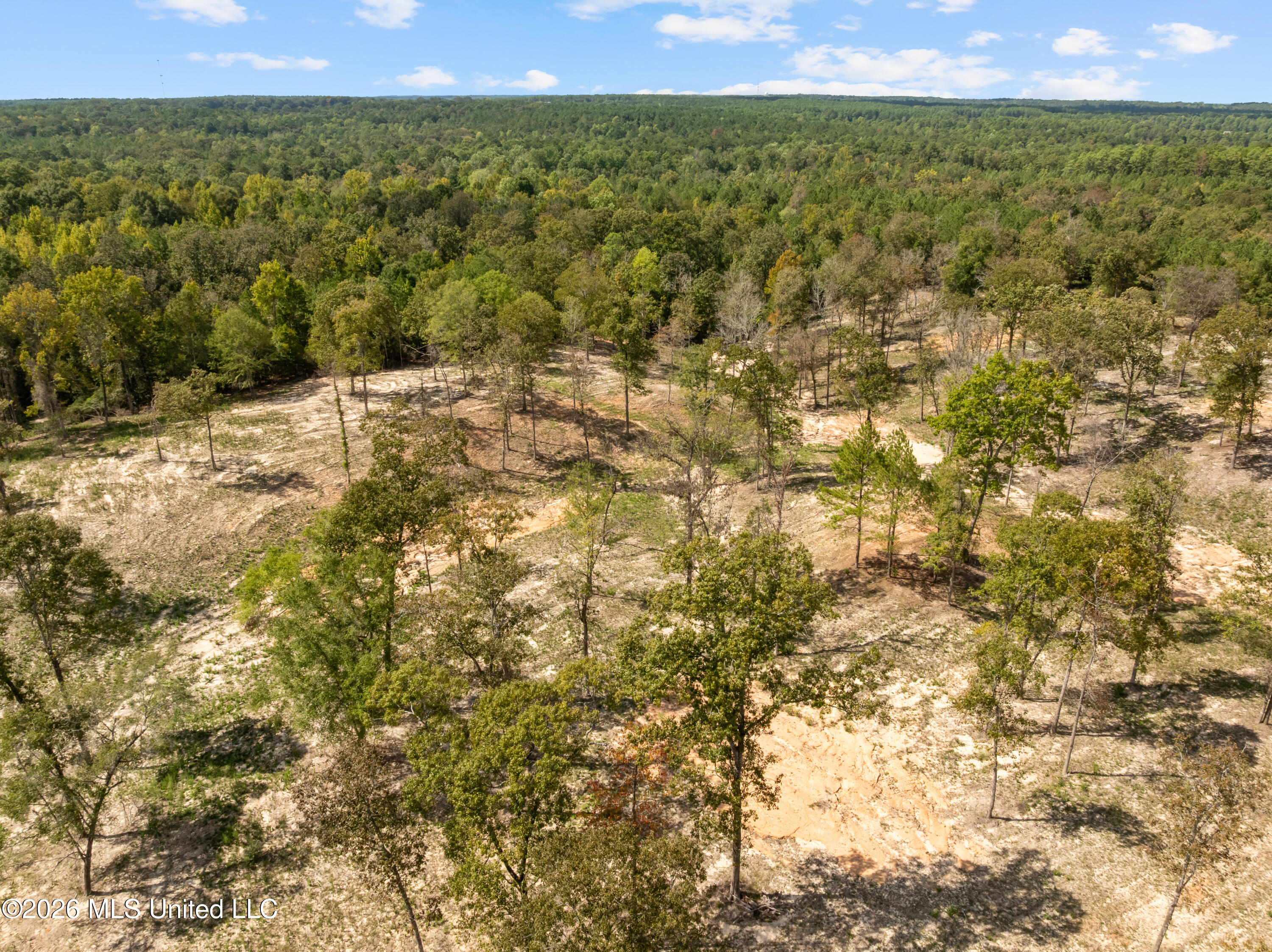 Bonhomie Road Property Photo 25