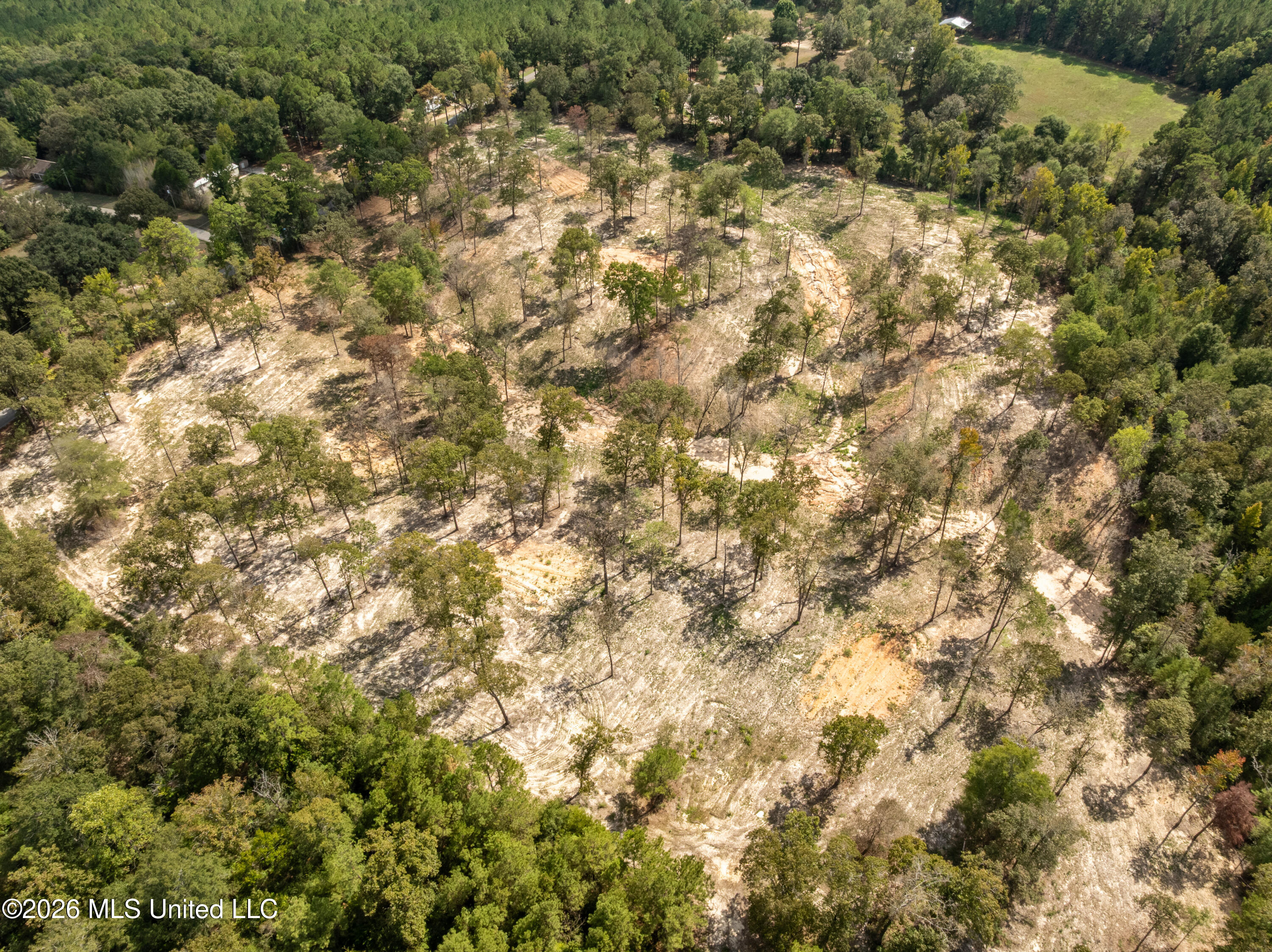Bonhomie Road Property Photo 28