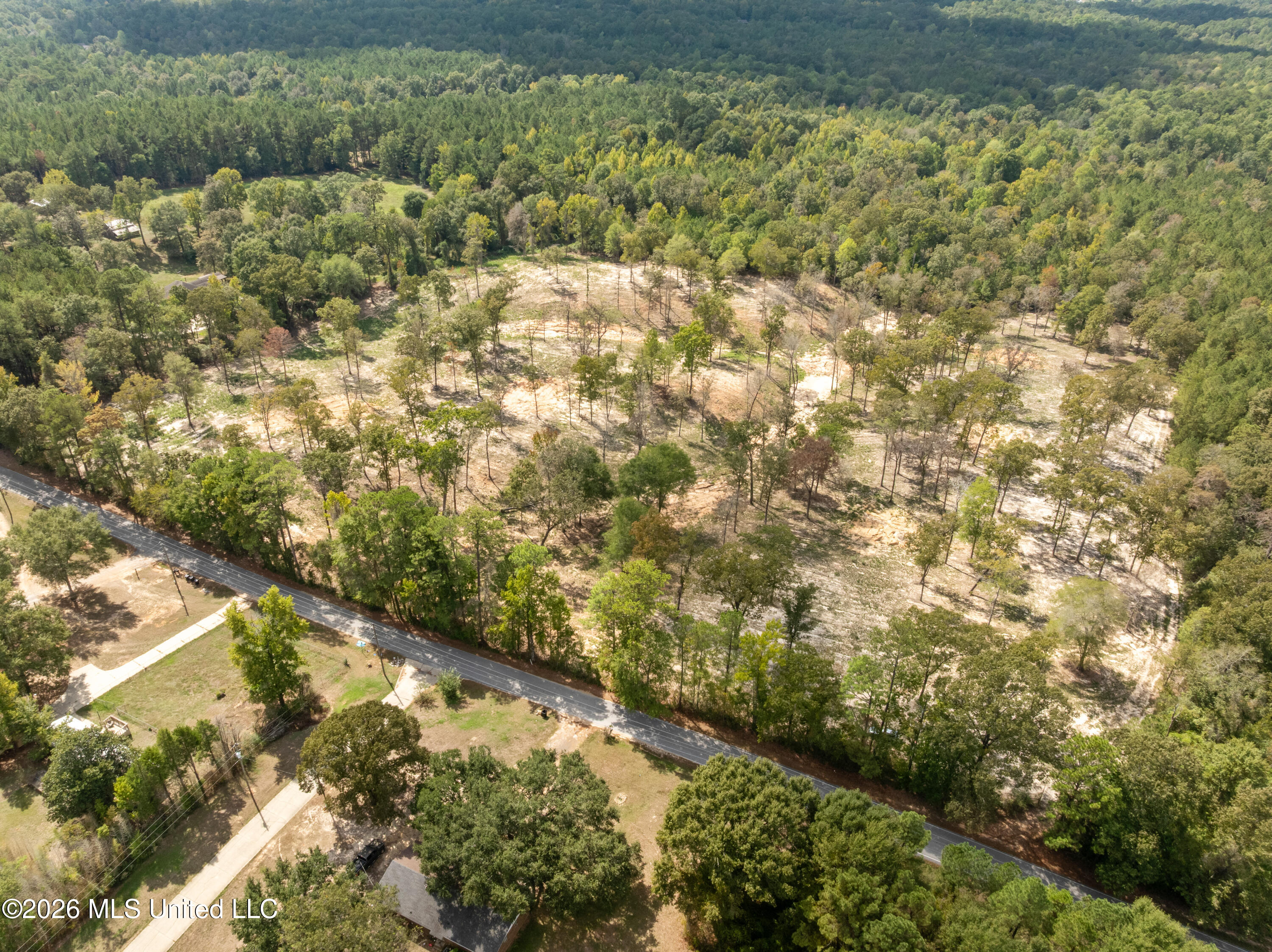 Bonhomie Road Property Photo 29