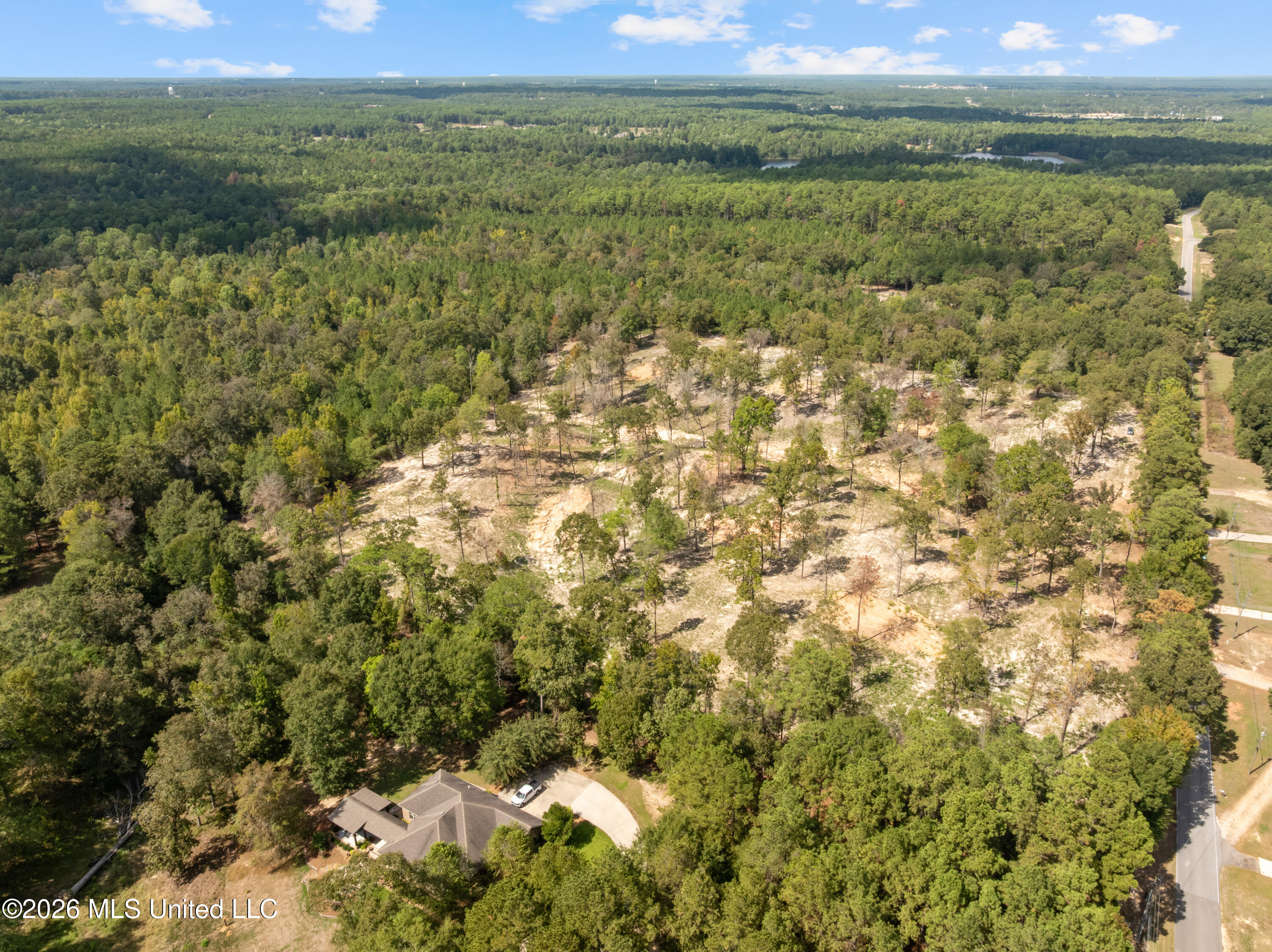 Bonhomie Road Property Photo 31