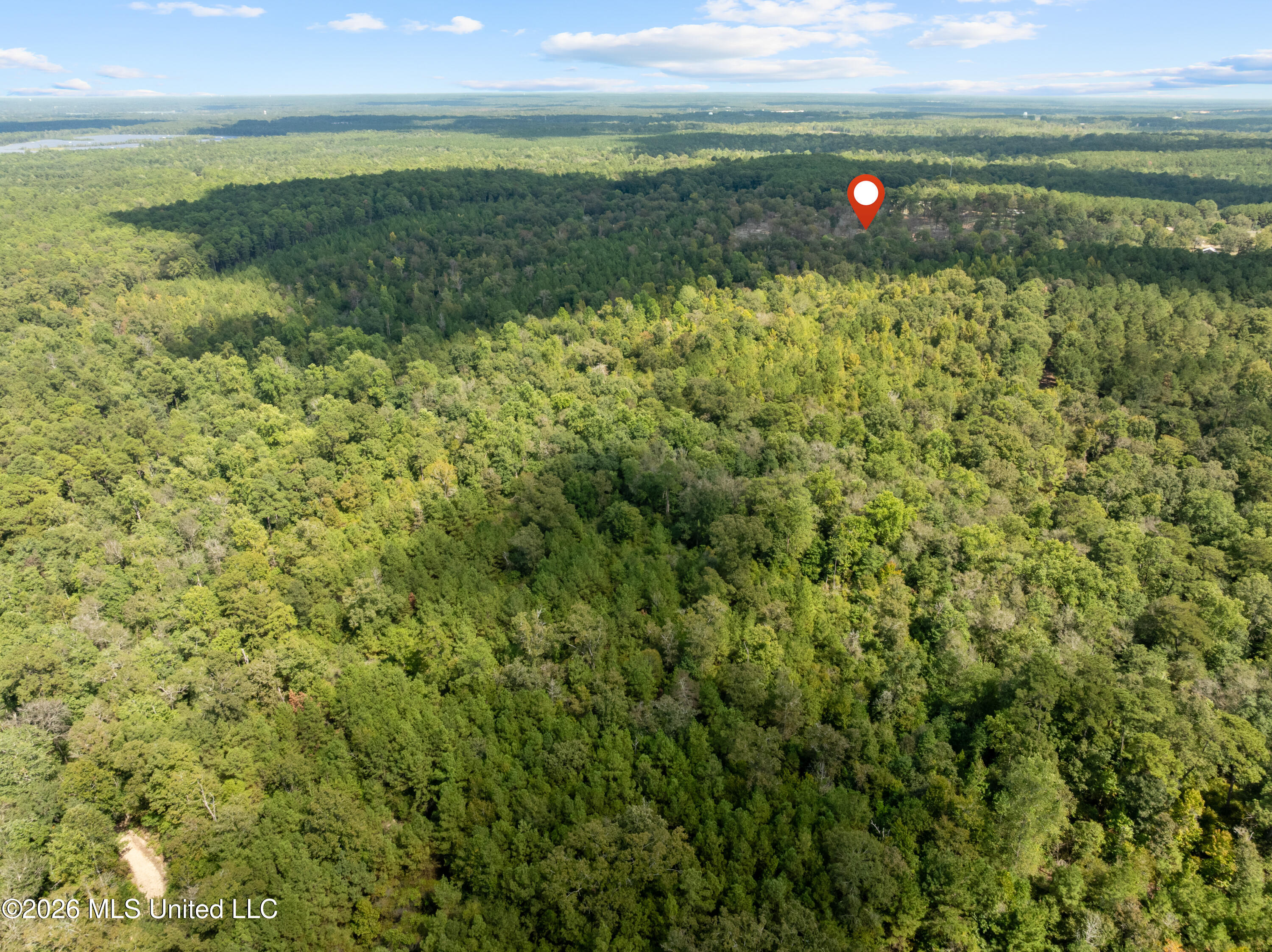 Bonhomie Road Property Photo 33