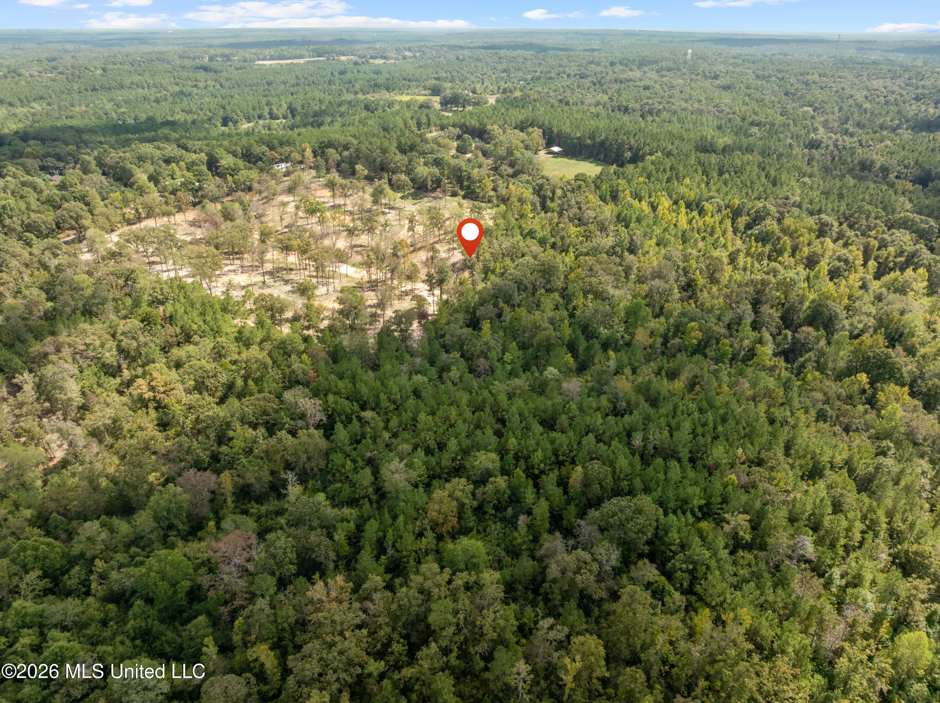 Bonhomie Road Property Photo 36