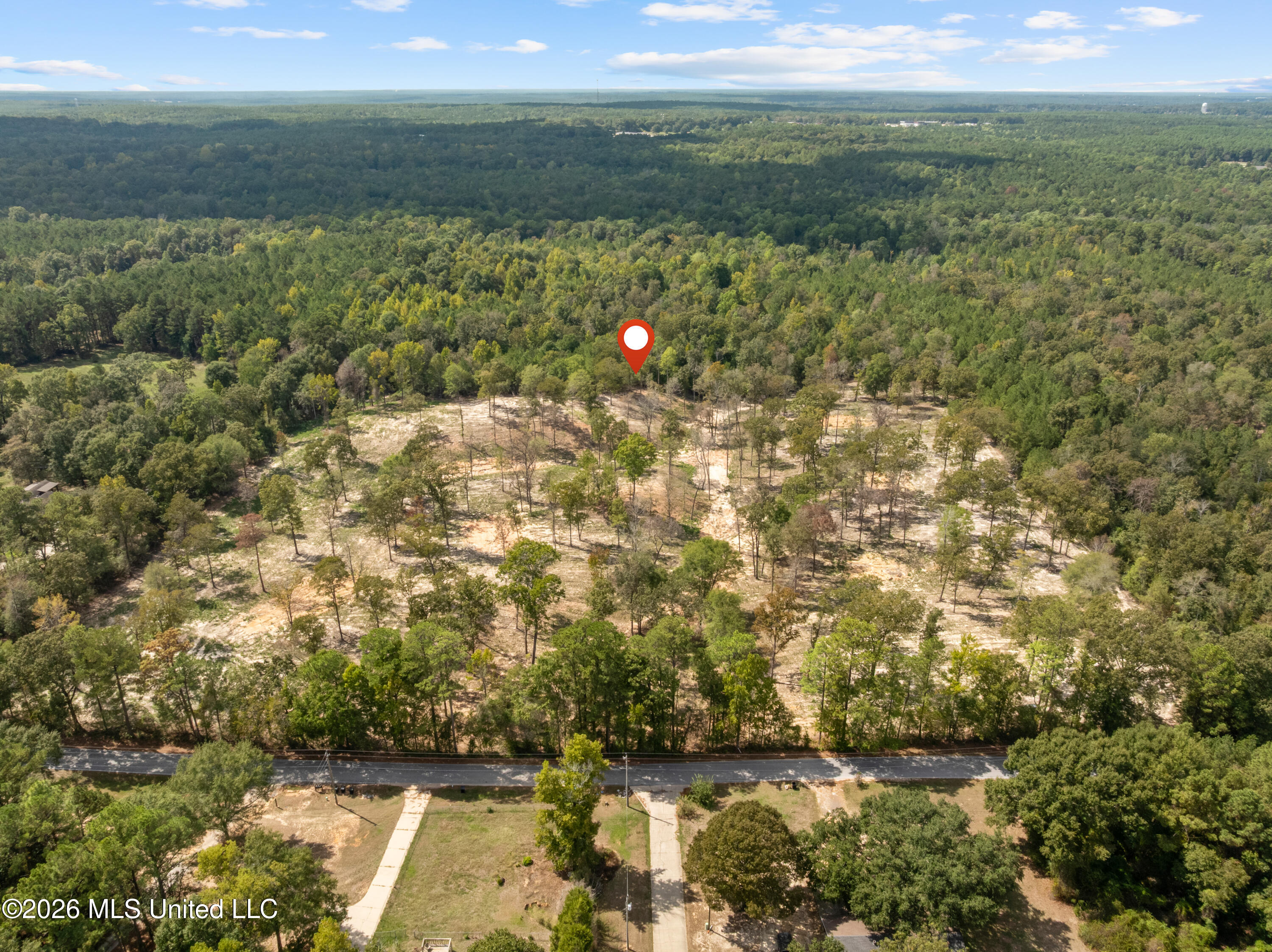 Bonhomie Road Property Photo 38