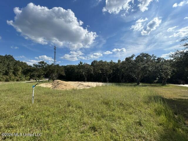 25049 Magnolia Boulevard Property Photo 1