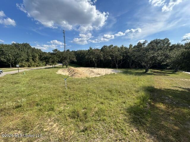 25049 Magnolia Boulevard Property Photo 3