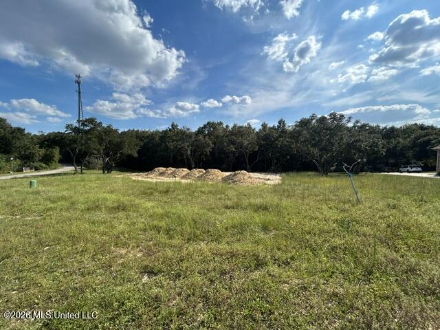 25049 Magnolia Boulevard Property Photo 4