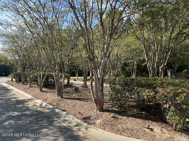 25049 Magnolia Boulevard Property Photo 6