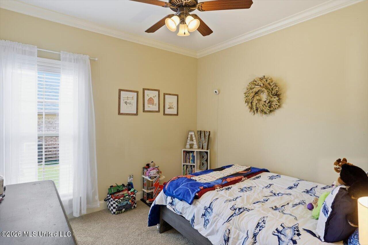 87 Brisco Street Property Photo 24