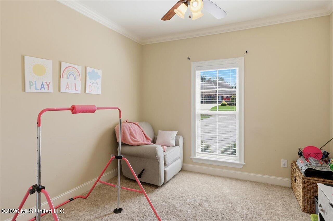 87 Brisco Street Property Photo 27