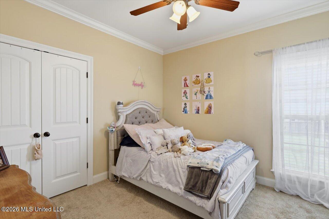 87 Brisco Street Property Photo 29