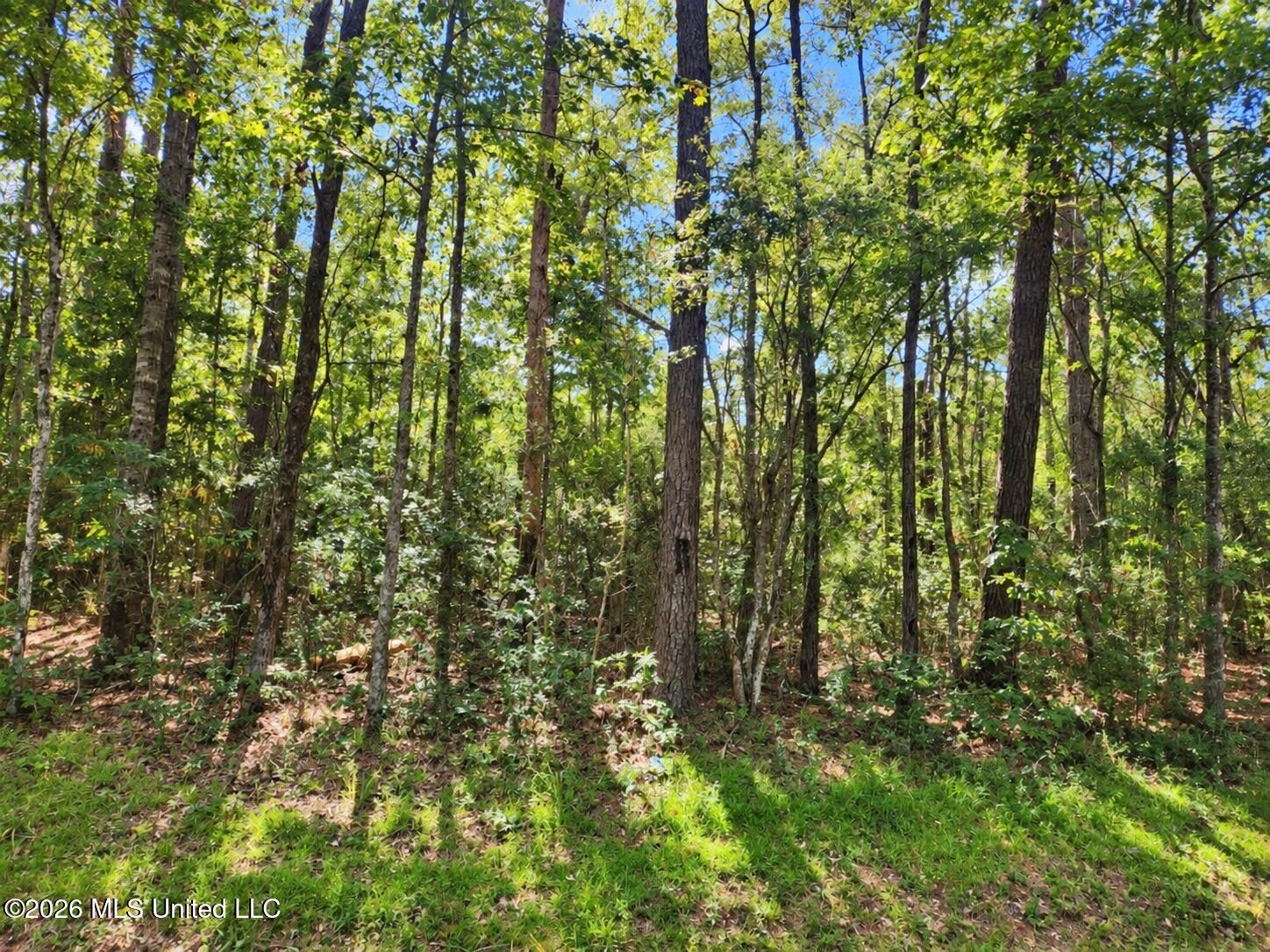 Lot 13 Nhn Will Thompson Property Photo 4