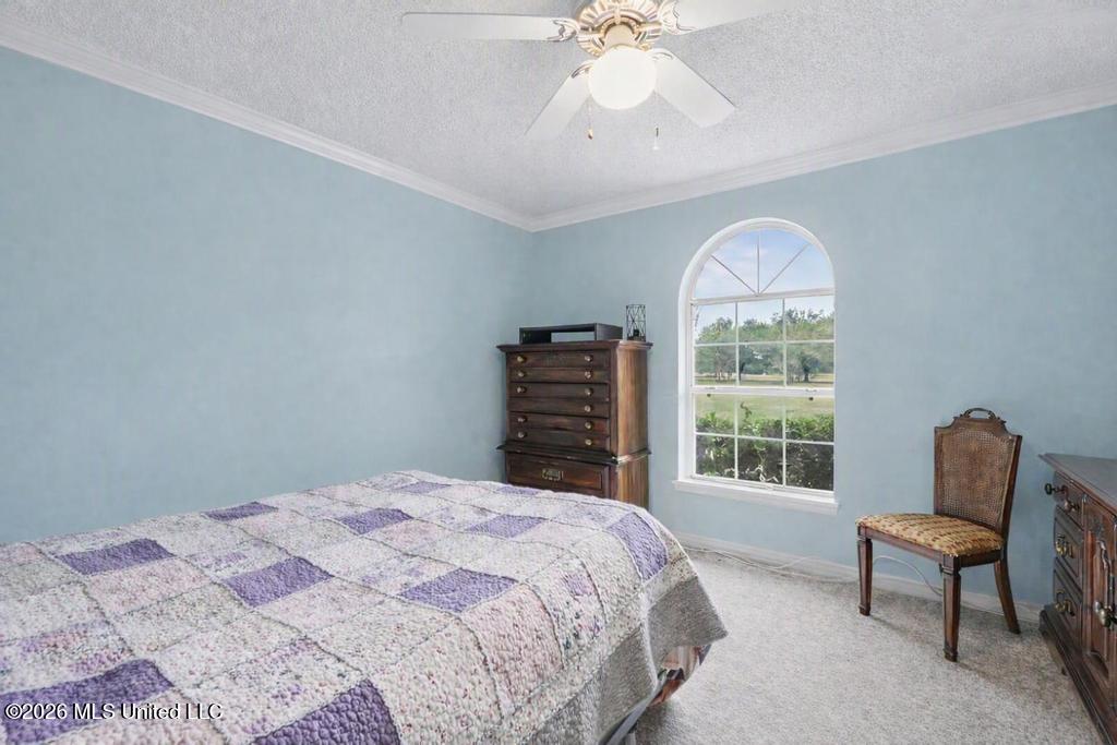 25409 Ramie Farm Road Property Photo 19