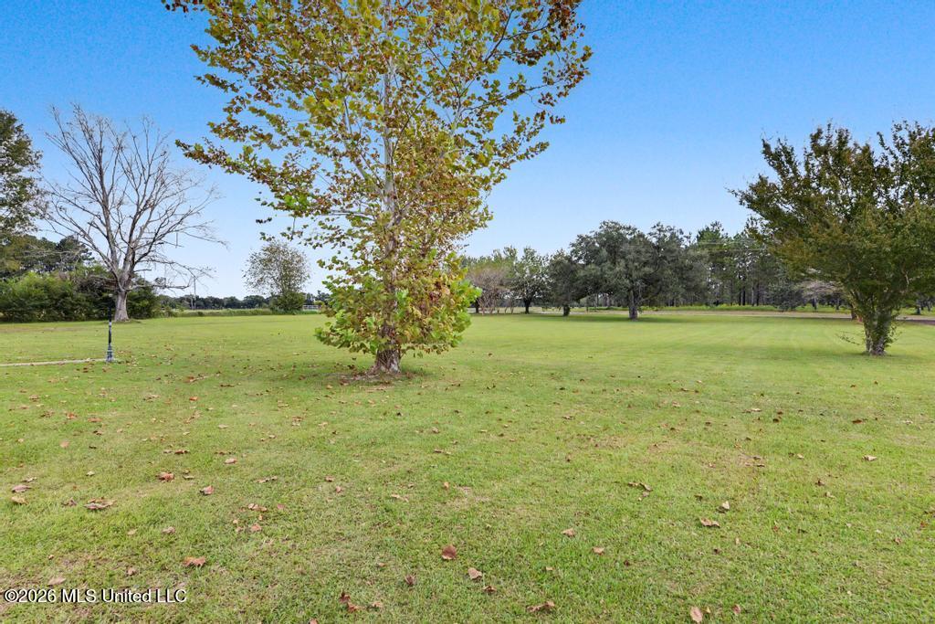 25409 Ramie Farm Road Property Photo 26