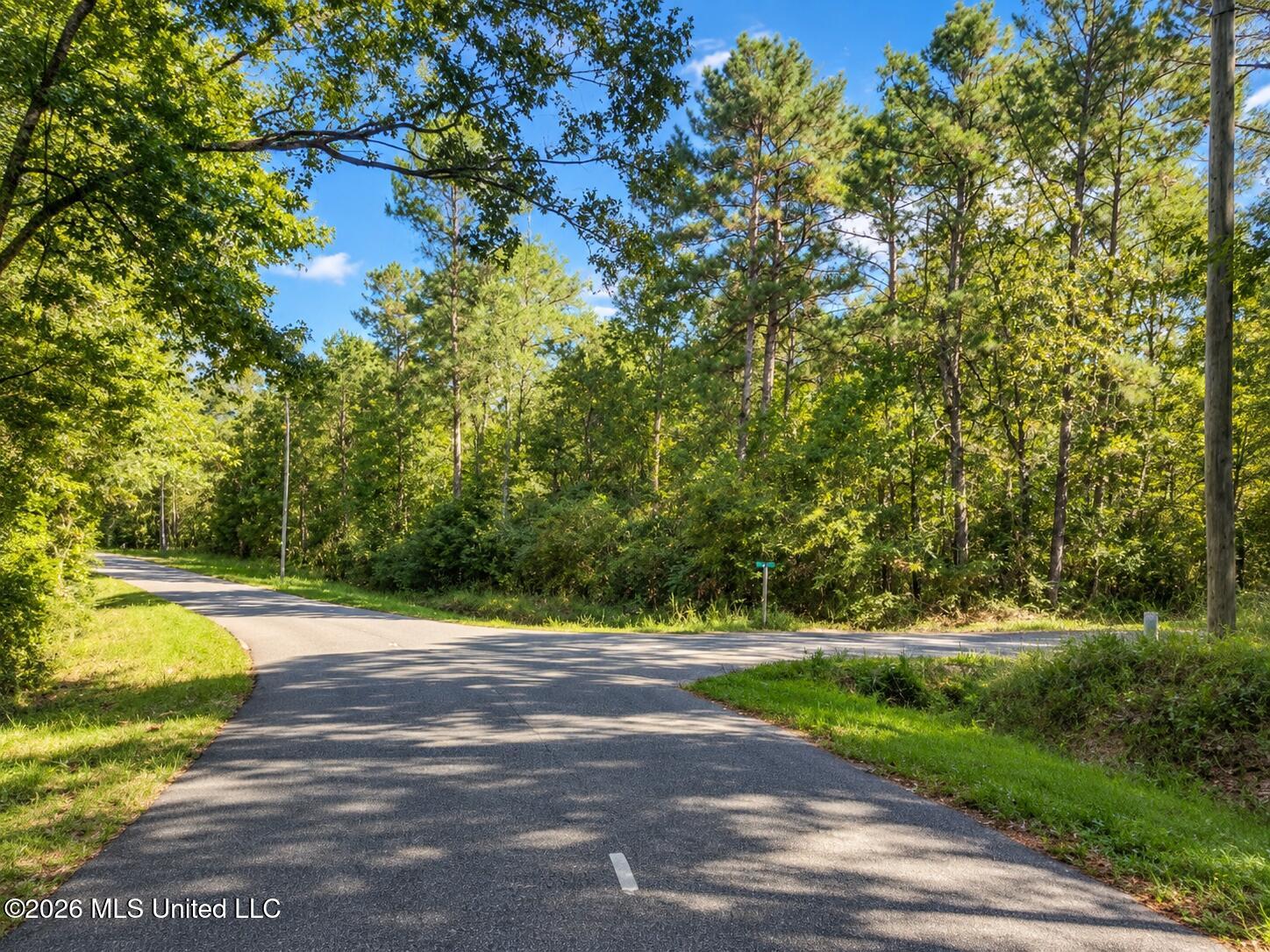 Lot 14 Nhn Will Thompson Property Photo 3