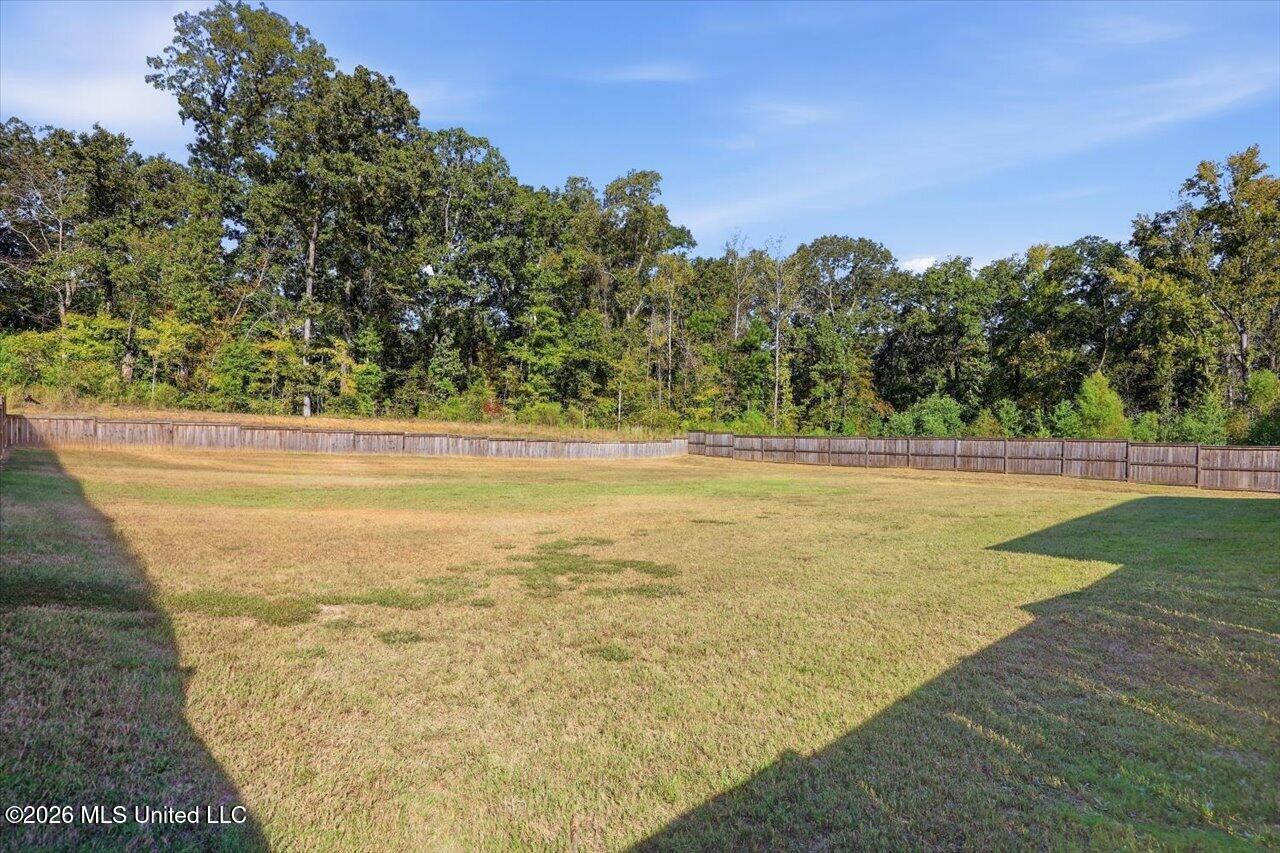 112 Richburg Court Property Photo 31