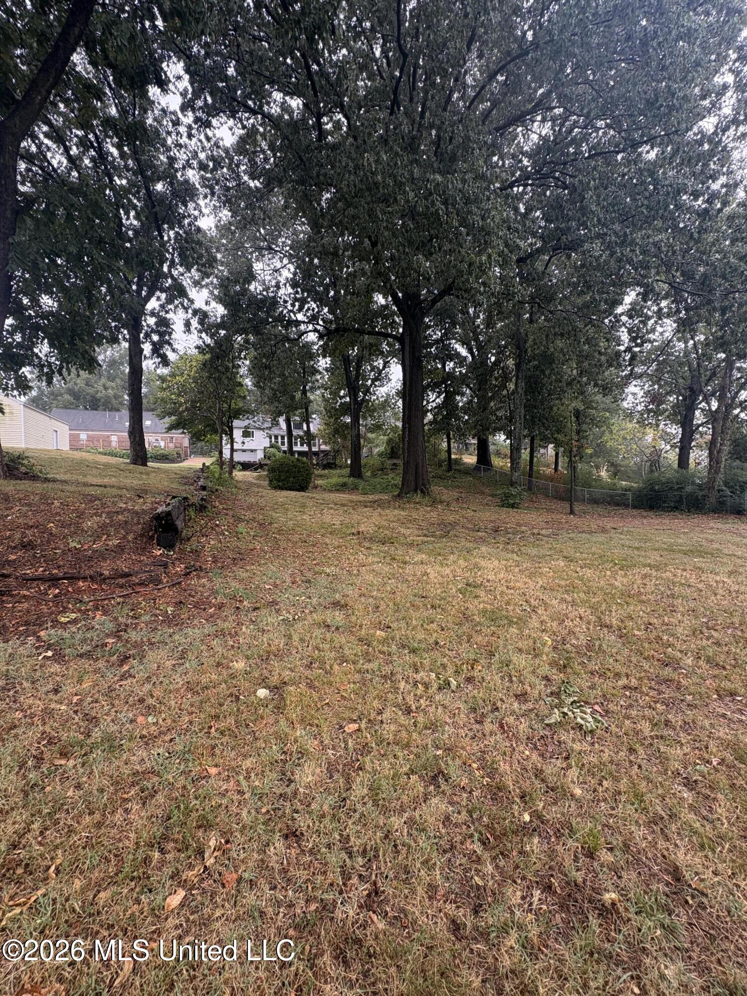 8825 Cypress Cove Property Photo 33