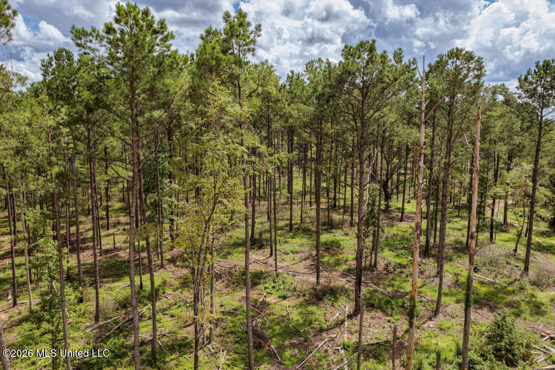 3300 Peoria Road Property Photo 10