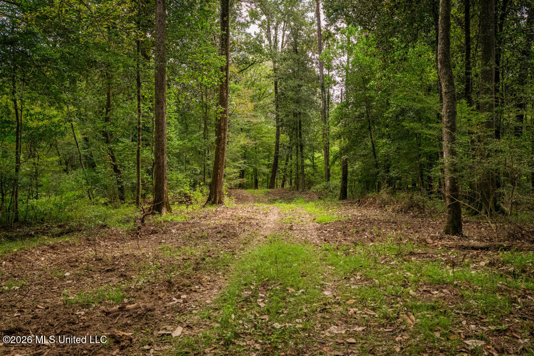3300 Peoria Road Property Photo 35
