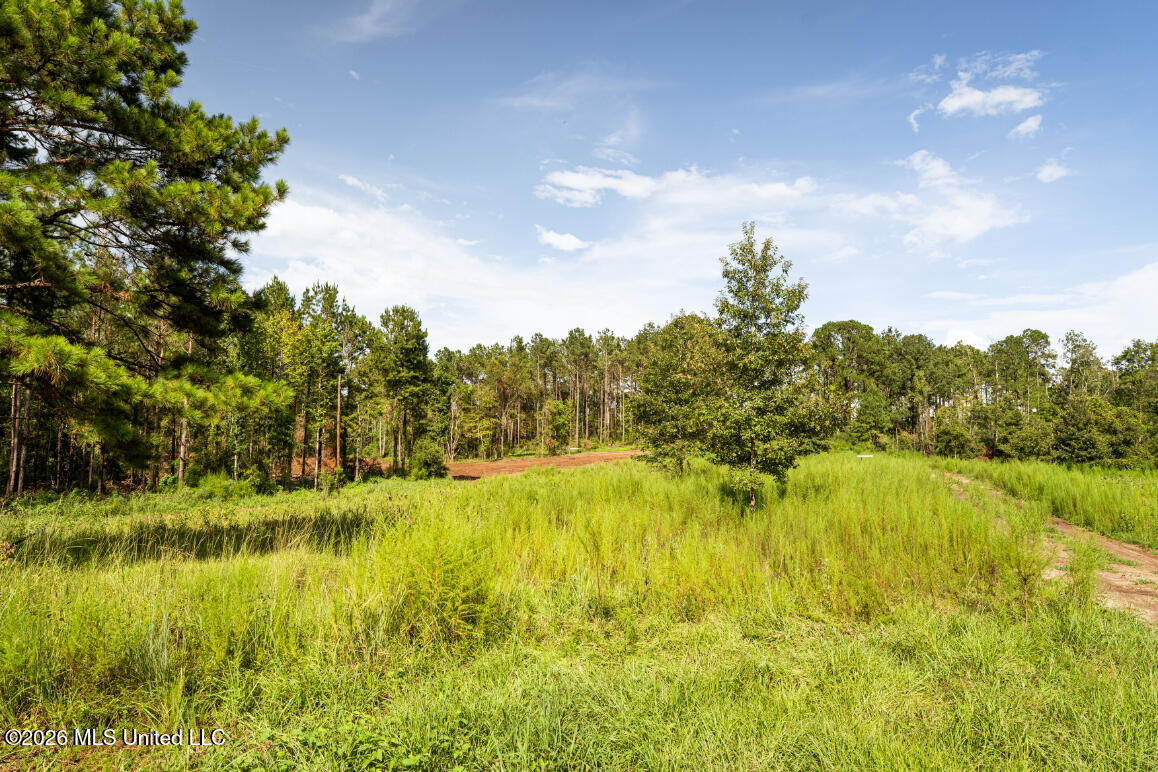 3300 Peoria Road Property Photo 45