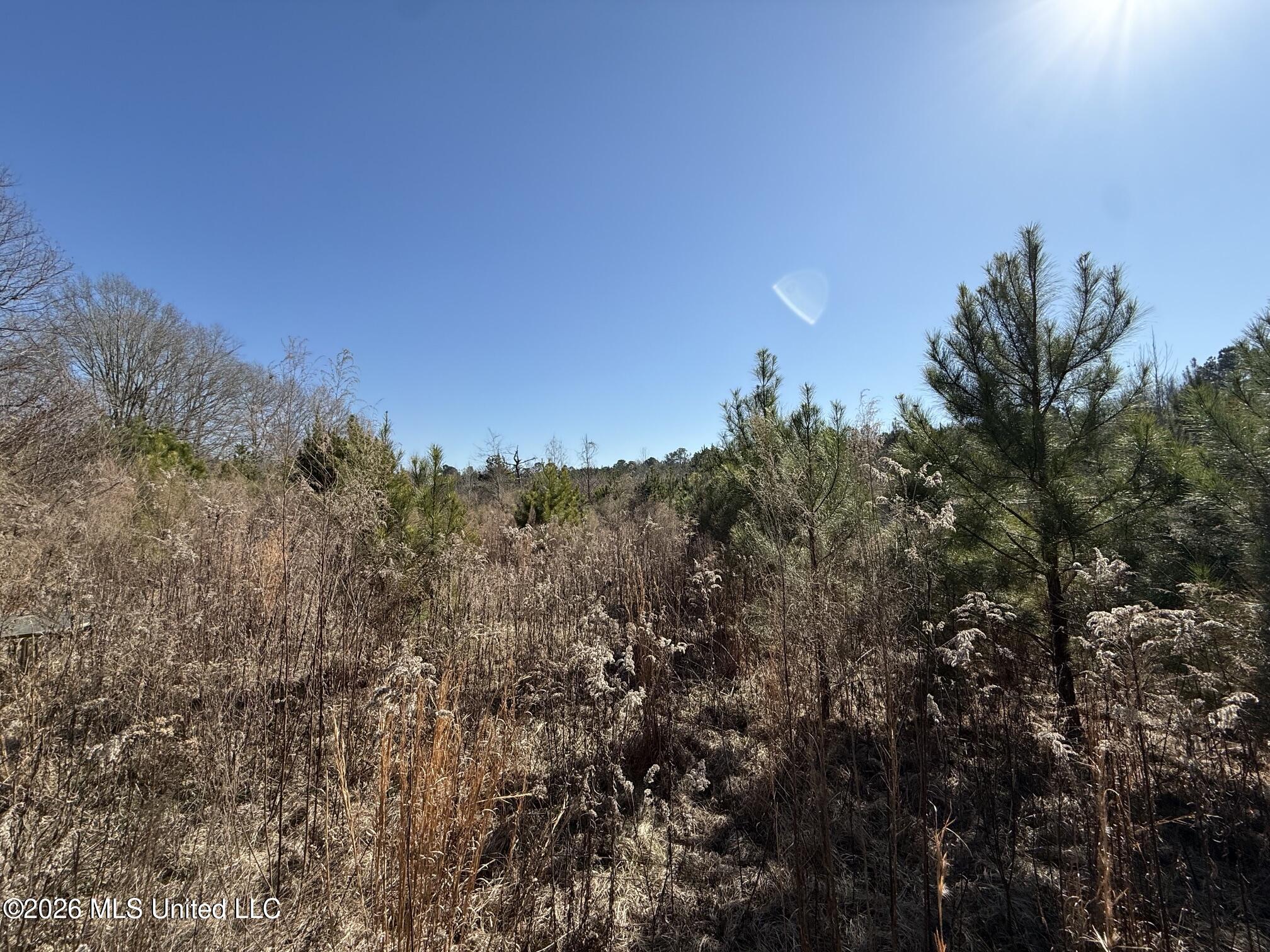 532 Mount Zion Road Property Photo 1
