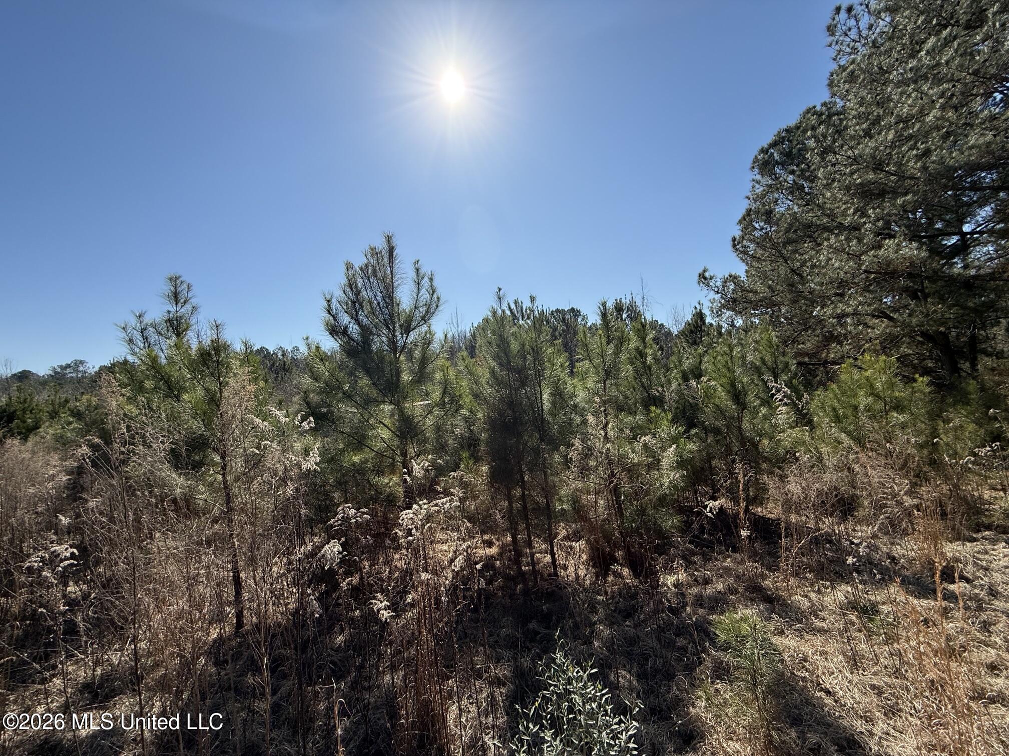 532 Mount Zion Road Property Photo 2