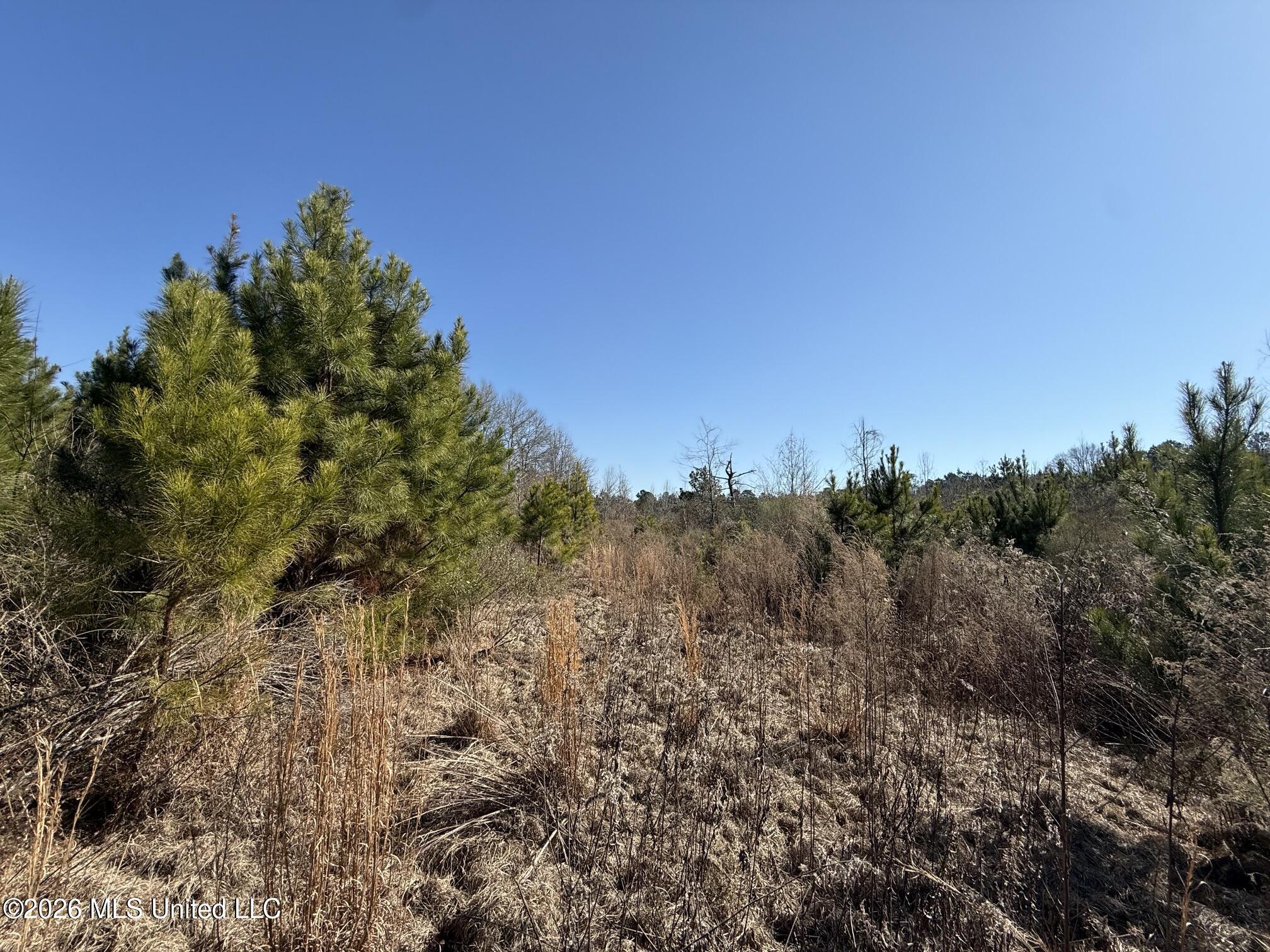 532 Mount Zion Road Property Photo 3