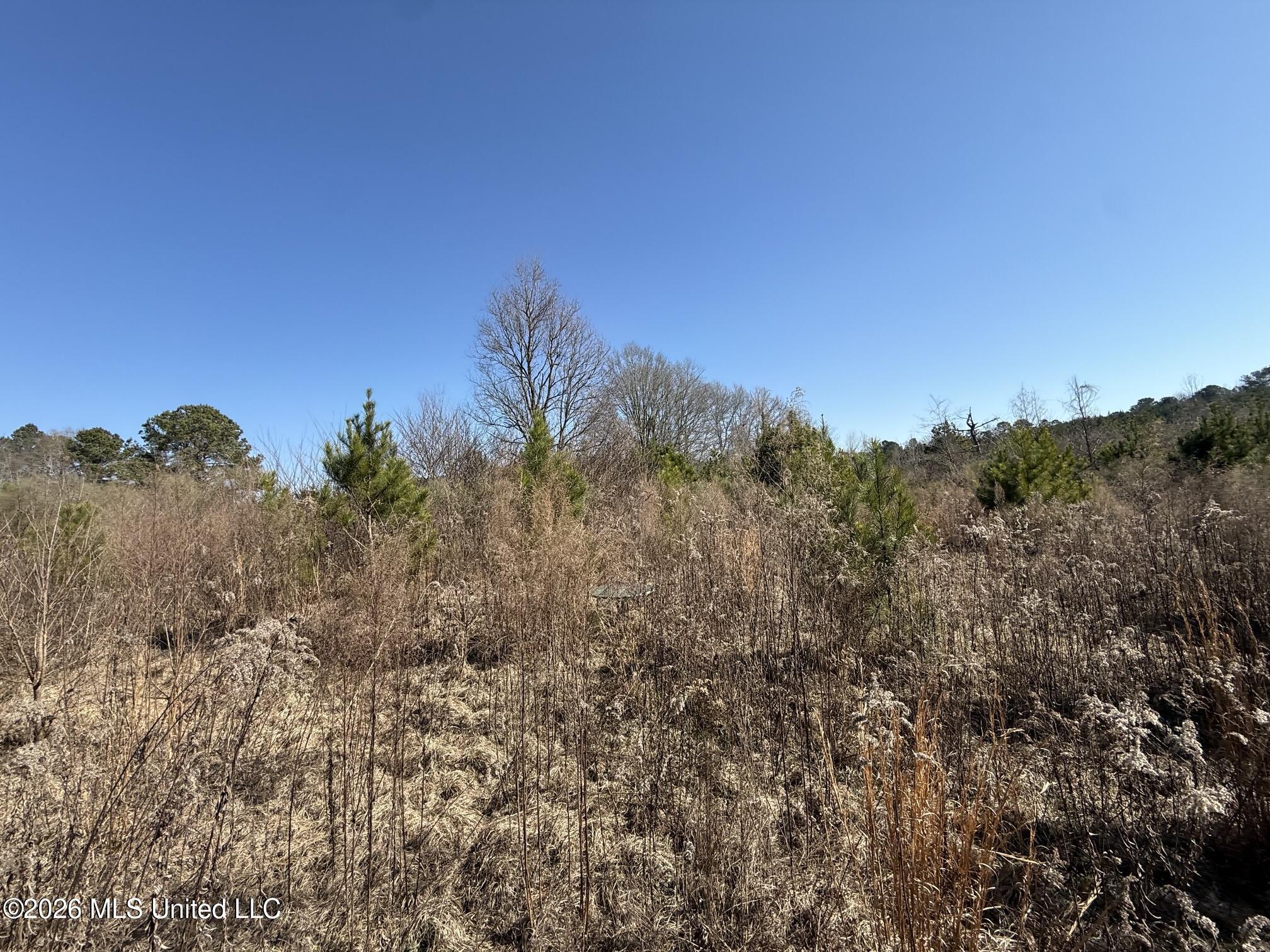 532 Mount Zion Road Property Photo 4