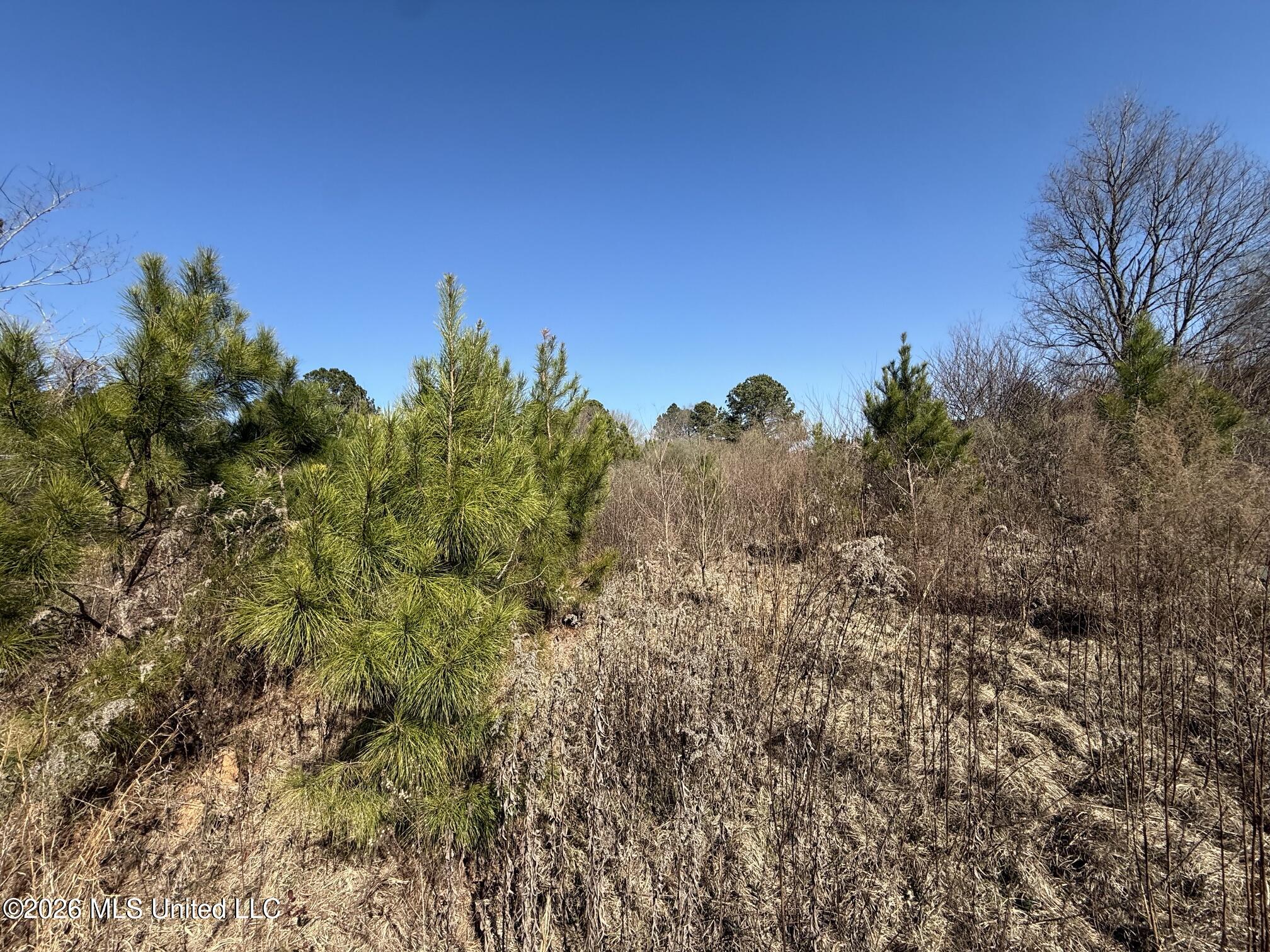 532 Mount Zion Road Property Photo 5
