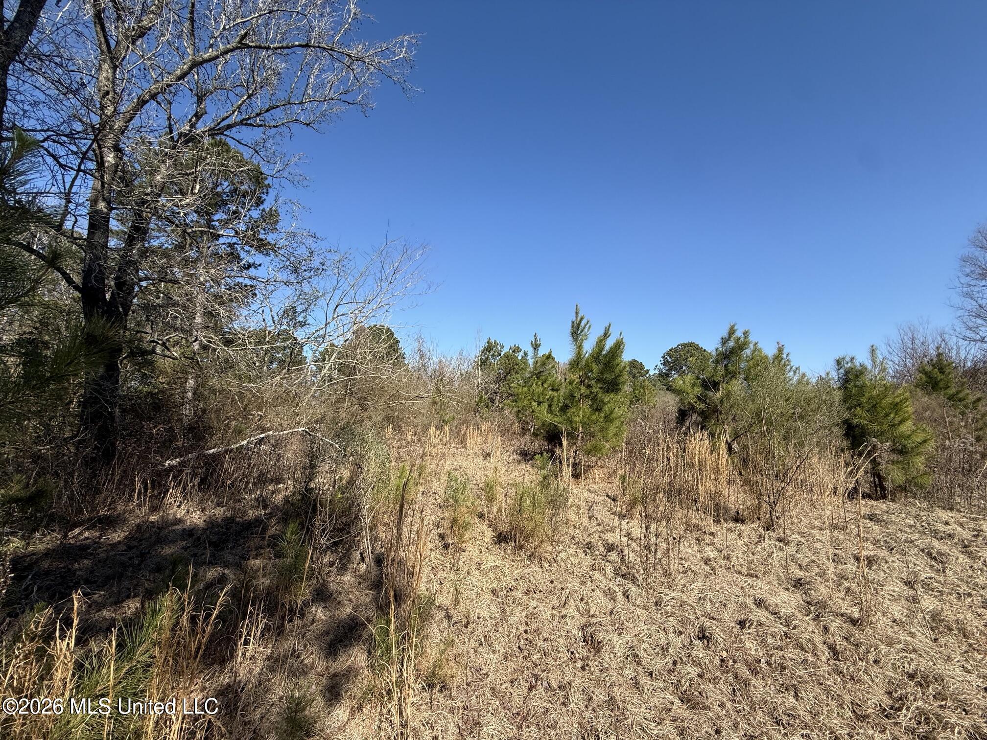 532 Mount Zion Road Property Photo 7
