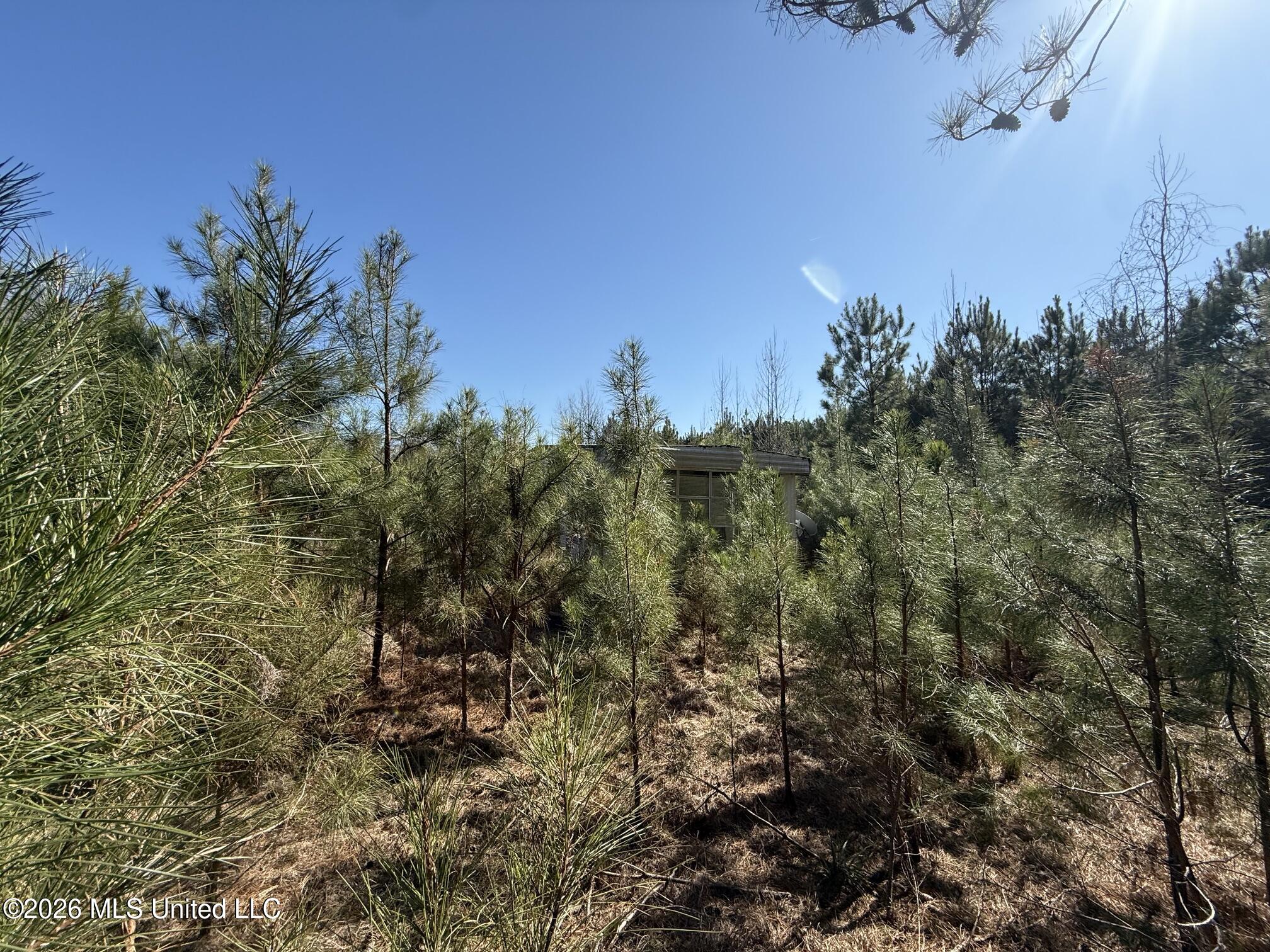 532 Mount Zion Road Property Photo 8
