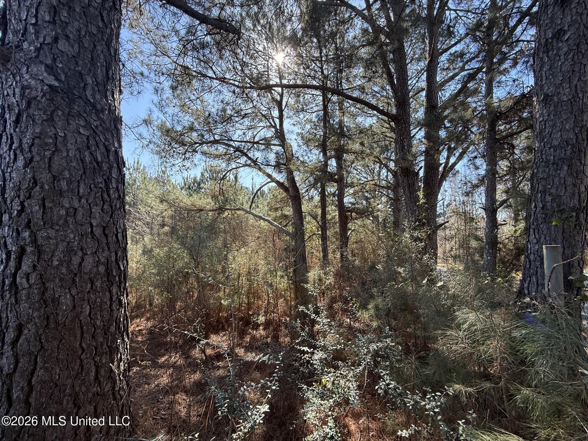532 Mount Zion Road Property Photo 9