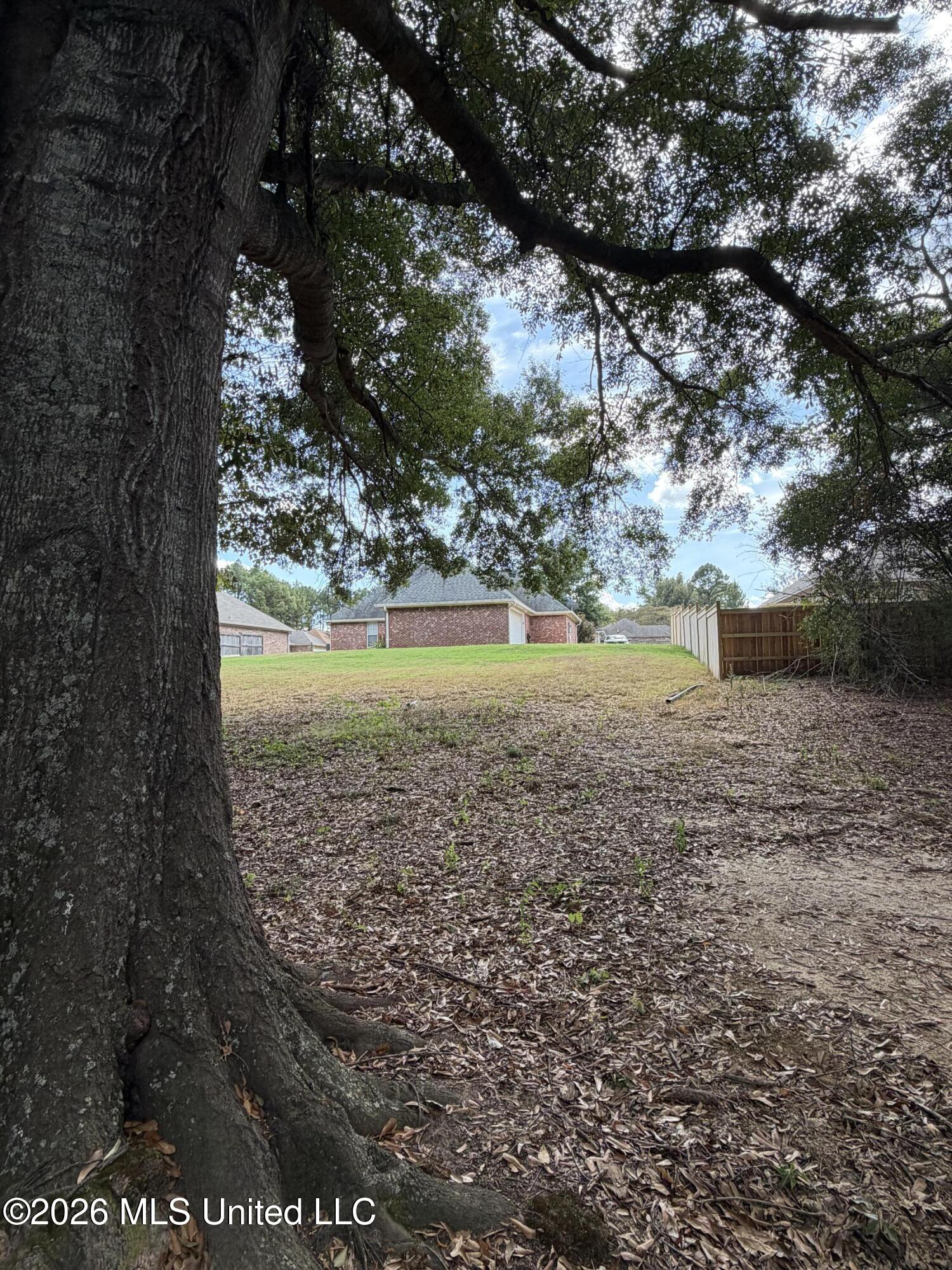 117 Kenzie Drive Property Photo 22