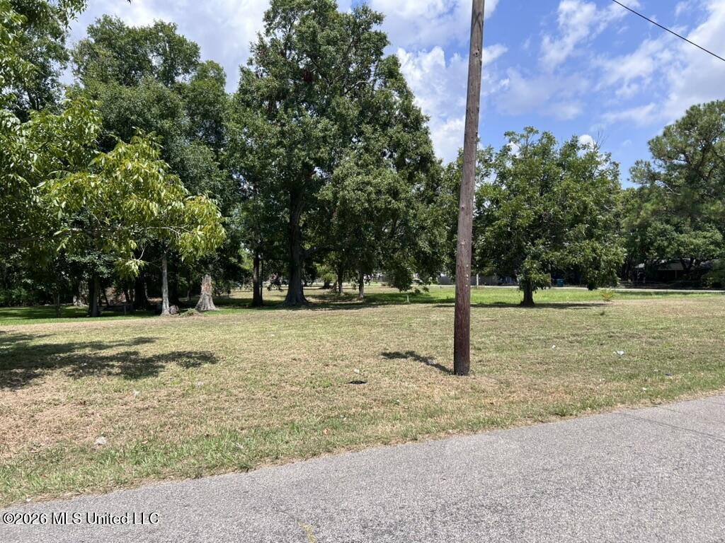 Madison Street Property Photo 10