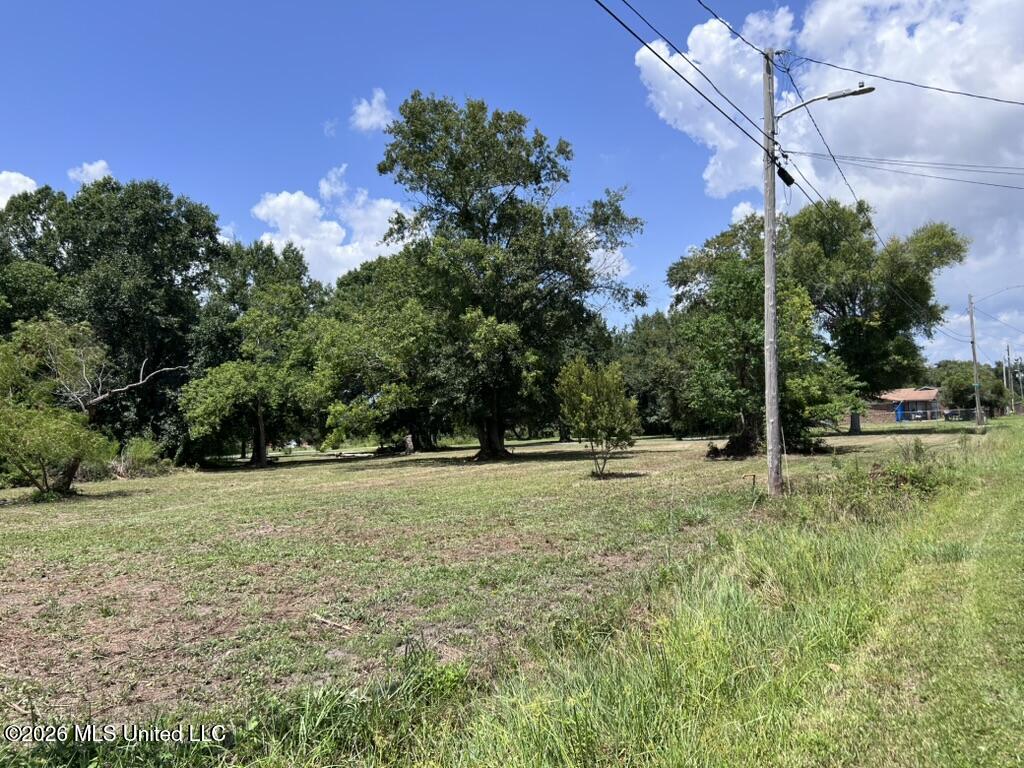 Madison Street Property Photo 13