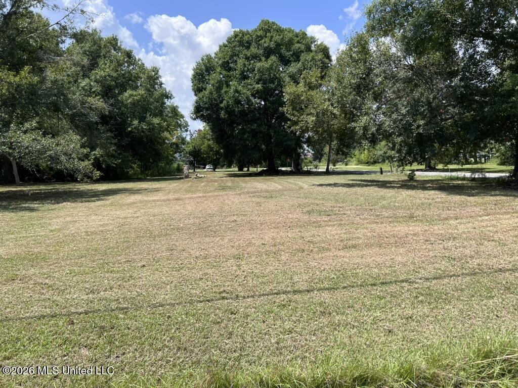 Madison Street Property Photo 15