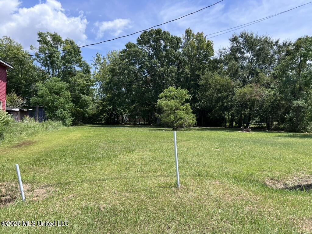 Madison Street Property Photo 17