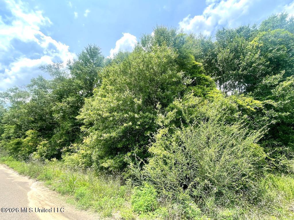 No Theodore Drive Property Photo 1