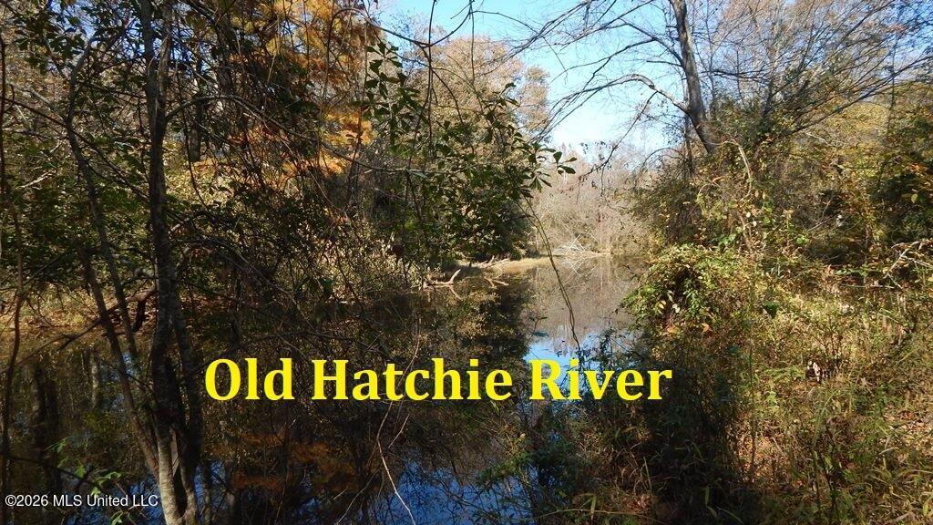 180 County Road 611 Country Road Property Photo 4