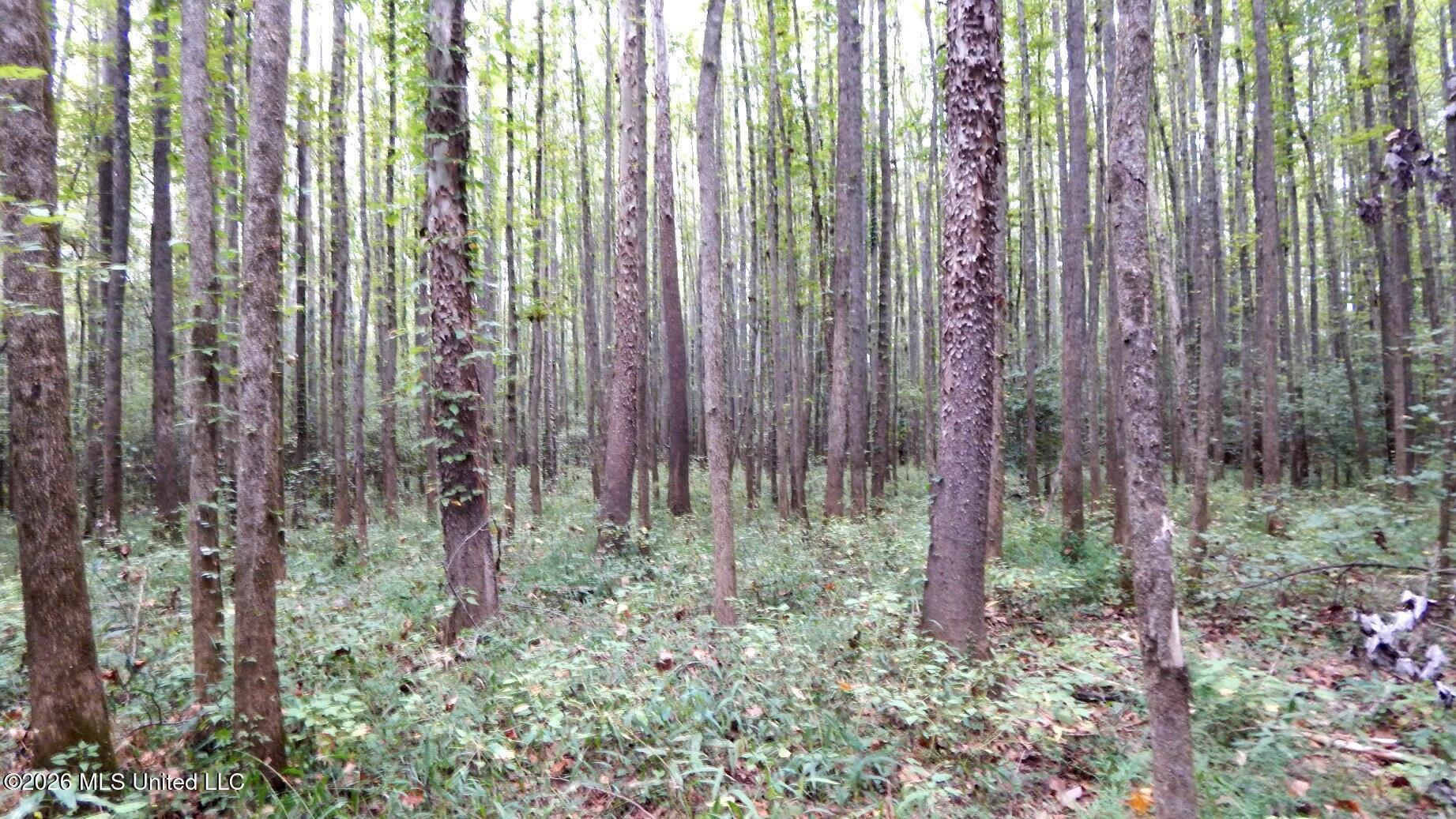 180 County Road 611 Country Road Property Photo 5
