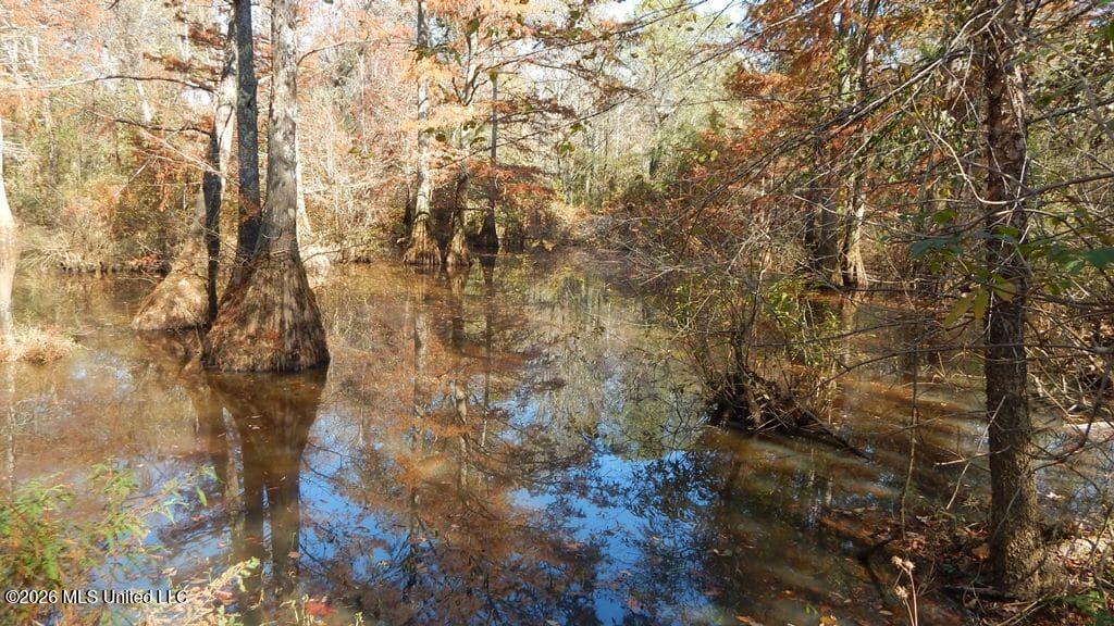 180 County Road 611 Country Road Property Photo 6