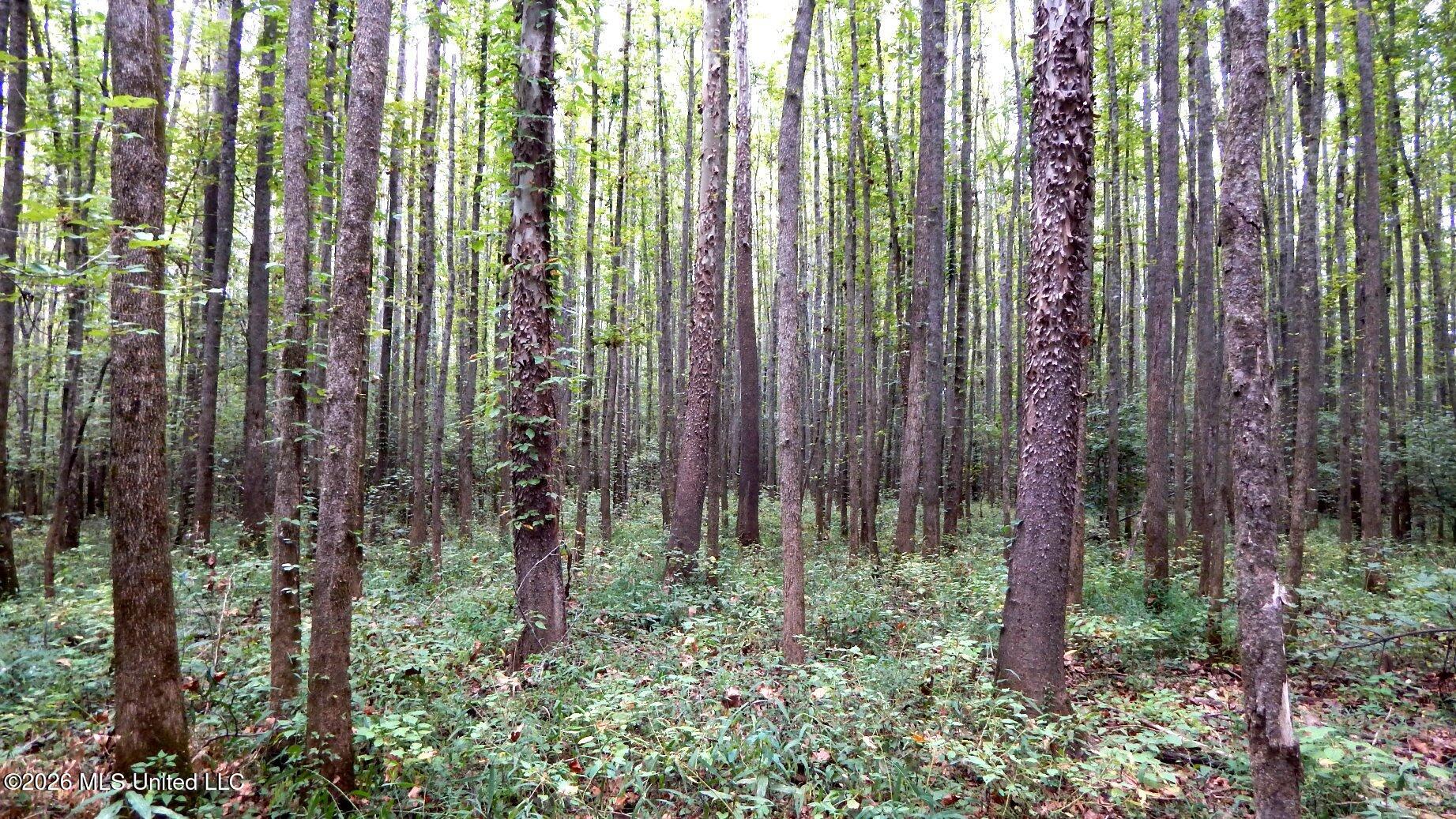 180 County Road 611 Country Road Property Photo 9